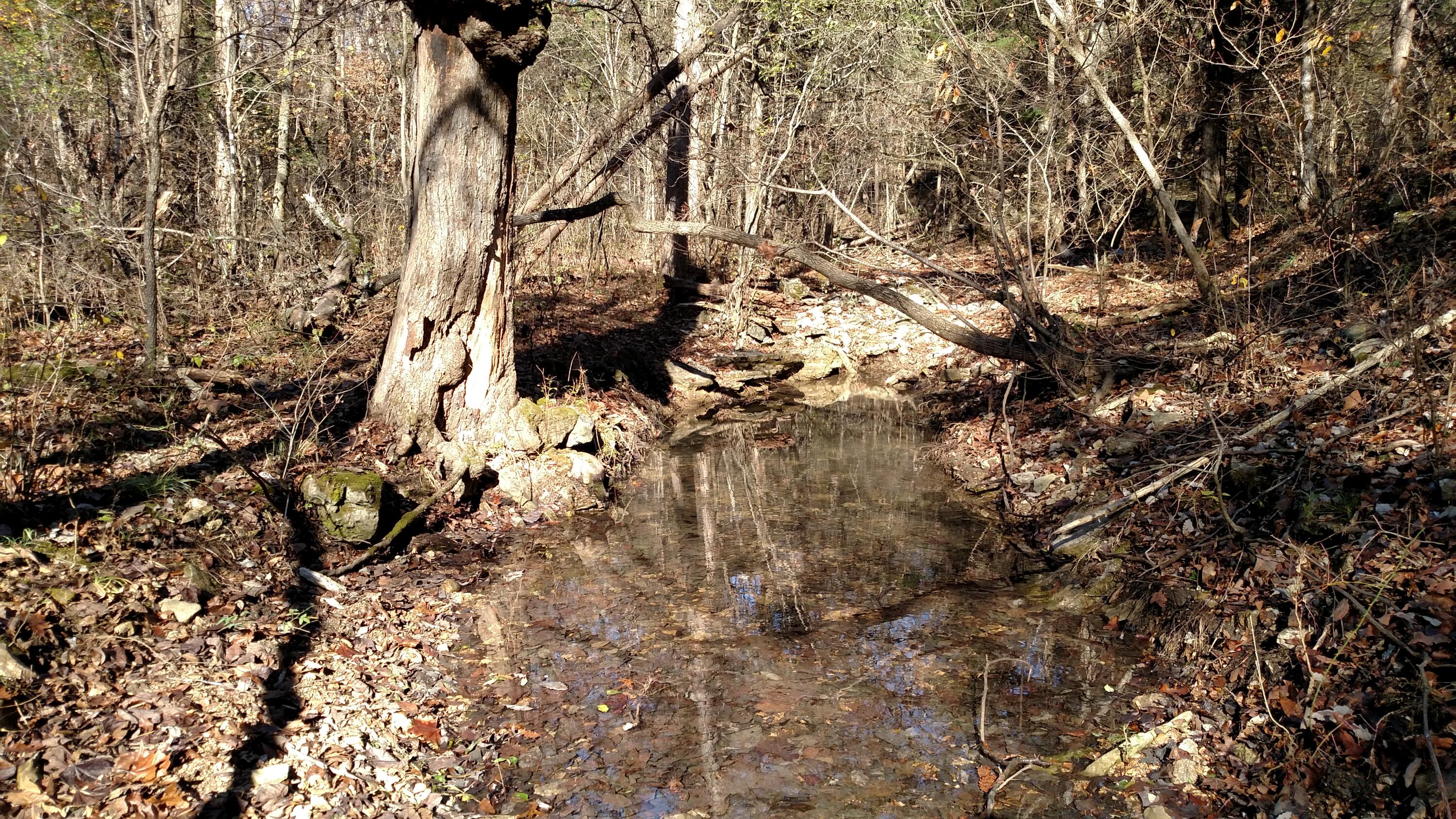 Photo 3 - Land for sale – 000  Buttermilk Spring Road  Galena, MO