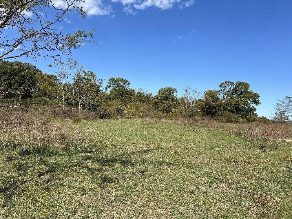 Land for sale – 000 Date Drive Summersville, MO