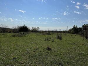 Photo 3 - Land for sale – 000  Date Drive   Summersville, MO