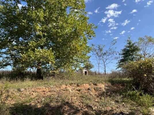 Photo 2 - Land for sale – 000  Date Drive   Summersville, MO