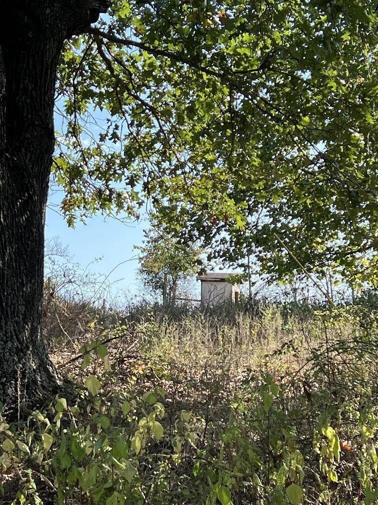 Photo 6 - Land for sale – 000  Date Drive   Summersville, MO