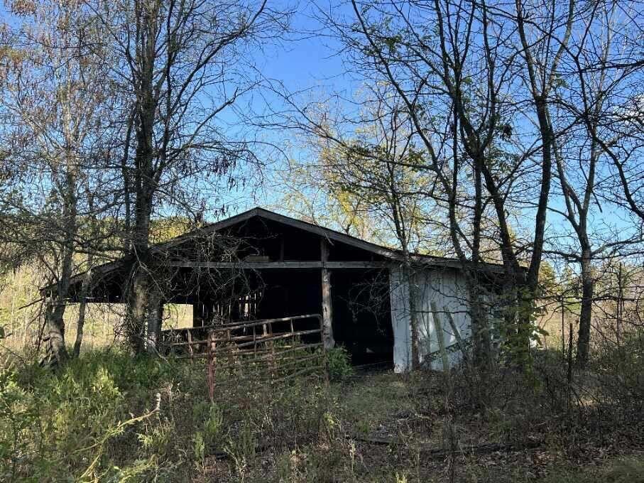 Photo 8 - Land for sale – 000  Date Drive   Summersville, MO
