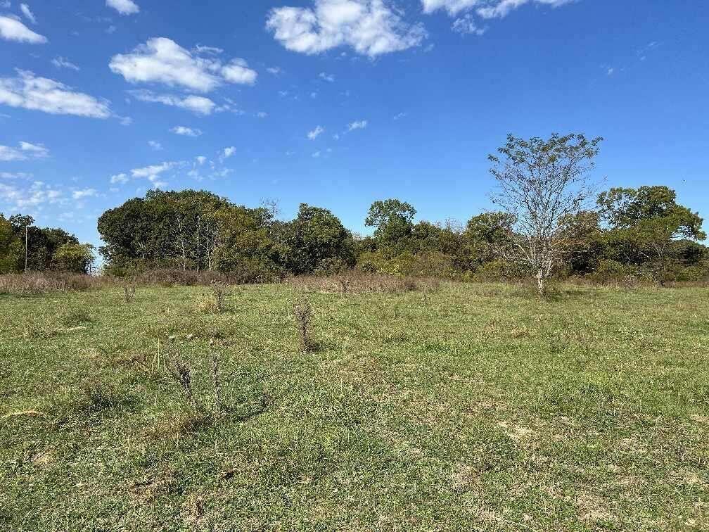 Photo 4 - Land for sale – 000  Date Drive   Summersville, MO