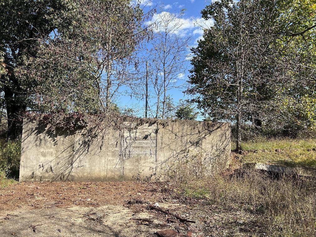 Photo 7 - Land for sale – 000  Date Drive   Summersville, MO