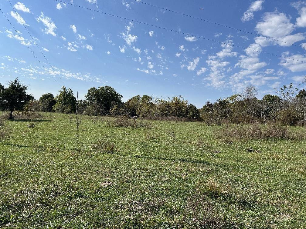 Photo 5 - Land for sale – 000  Date Drive   Summersville, MO