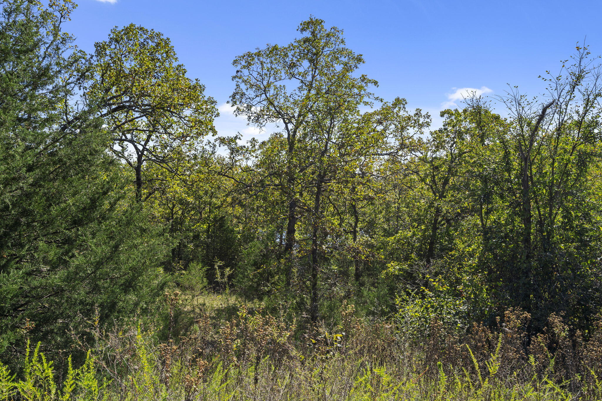 Photo 14 - Land for sale – Lot 312  Weatherstone Drive  Reeds Spring, MO