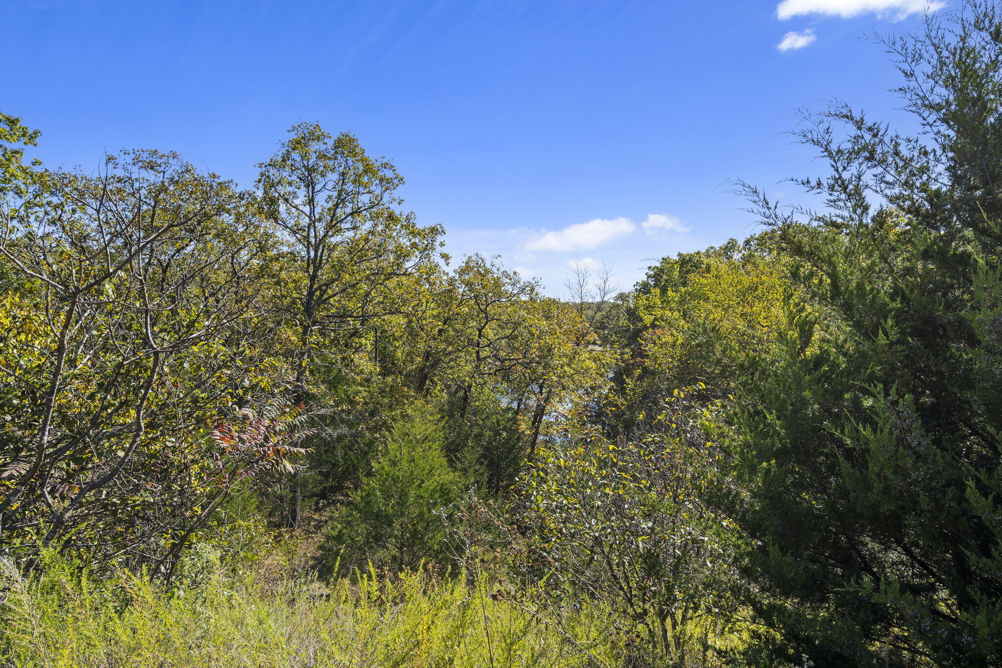 Photo 11 - Land for sale – Lot 312  Weatherstone Drive  Reeds Spring, MO