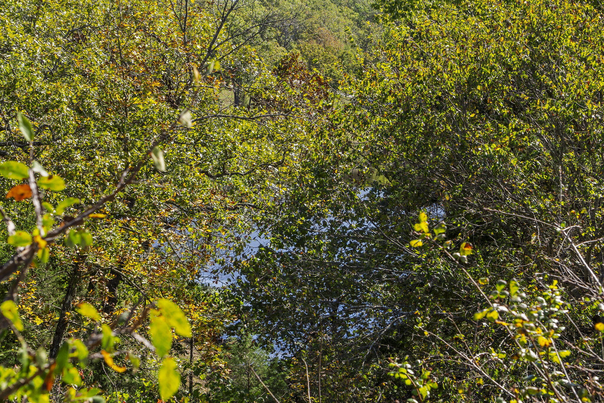 Photo 3 - Land for sale – Lot 312  Weatherstone Drive  Reeds Spring, MO