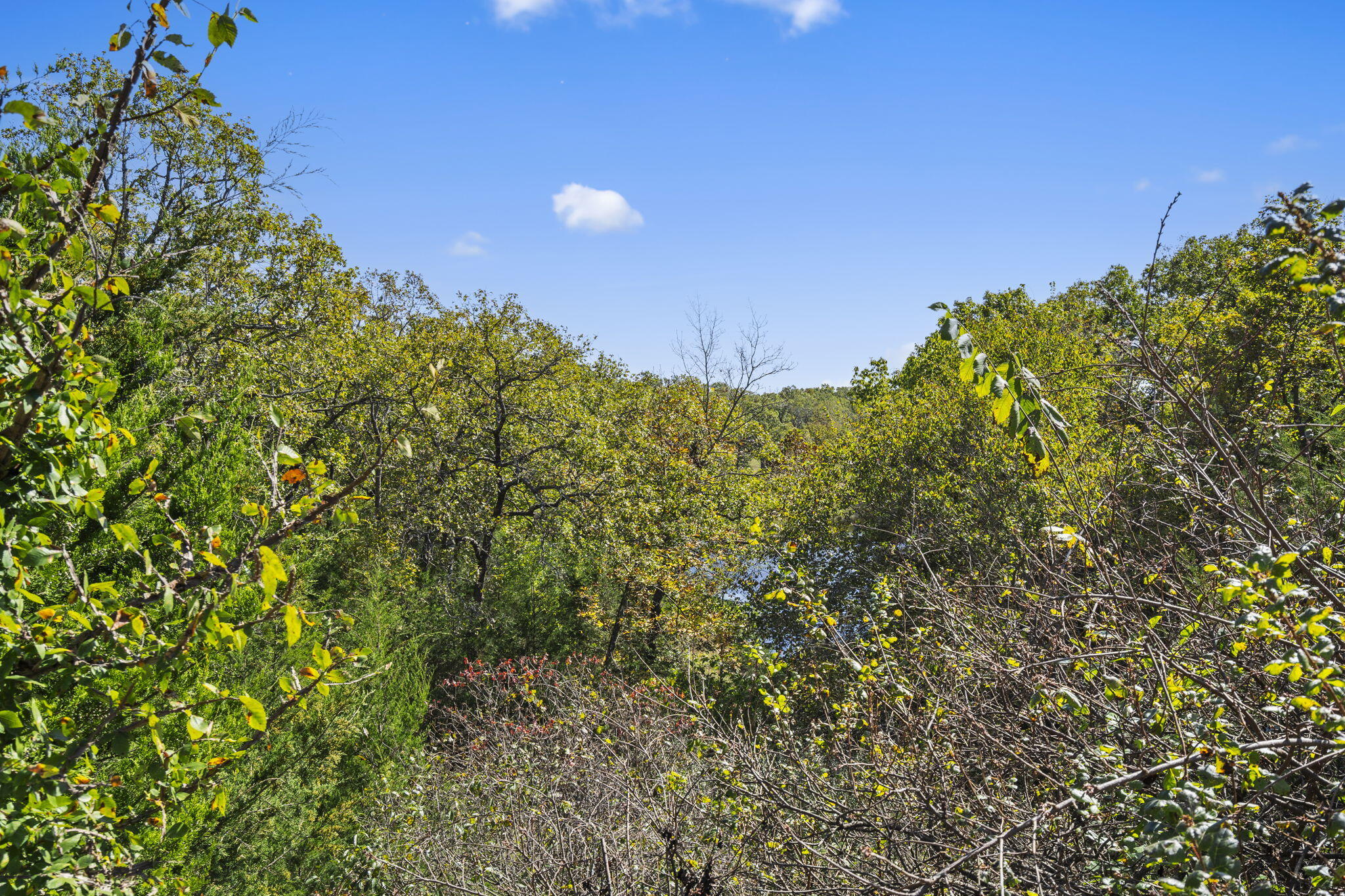 Photo 13 - Land for sale – Lot 312  Weatherstone Drive  Reeds Spring, MO