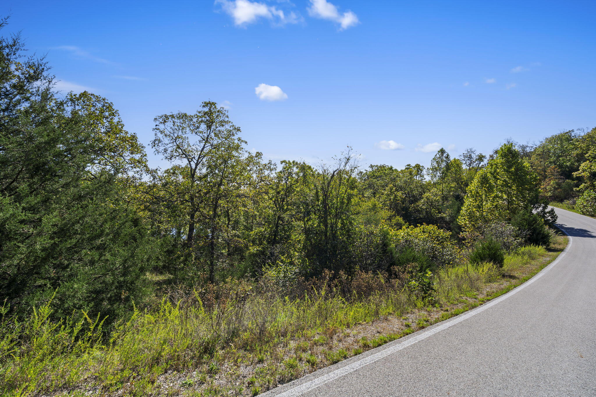 Photo 9 - Land for sale – Lot 312  Weatherstone Drive  Reeds Spring, MO