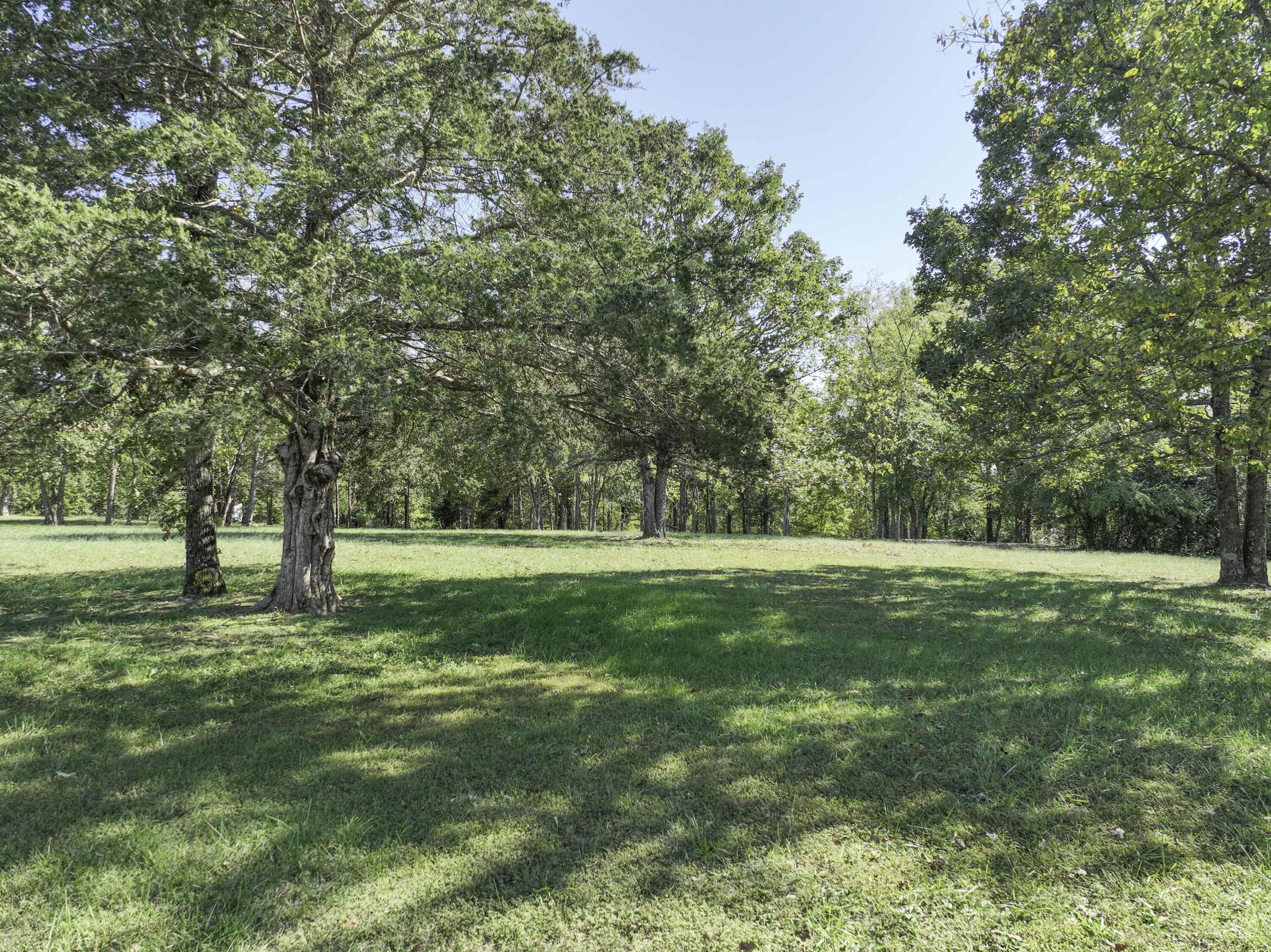 Photo 14 - Land for sale – 000  Navajo Hills Road  Shell Knob, MO