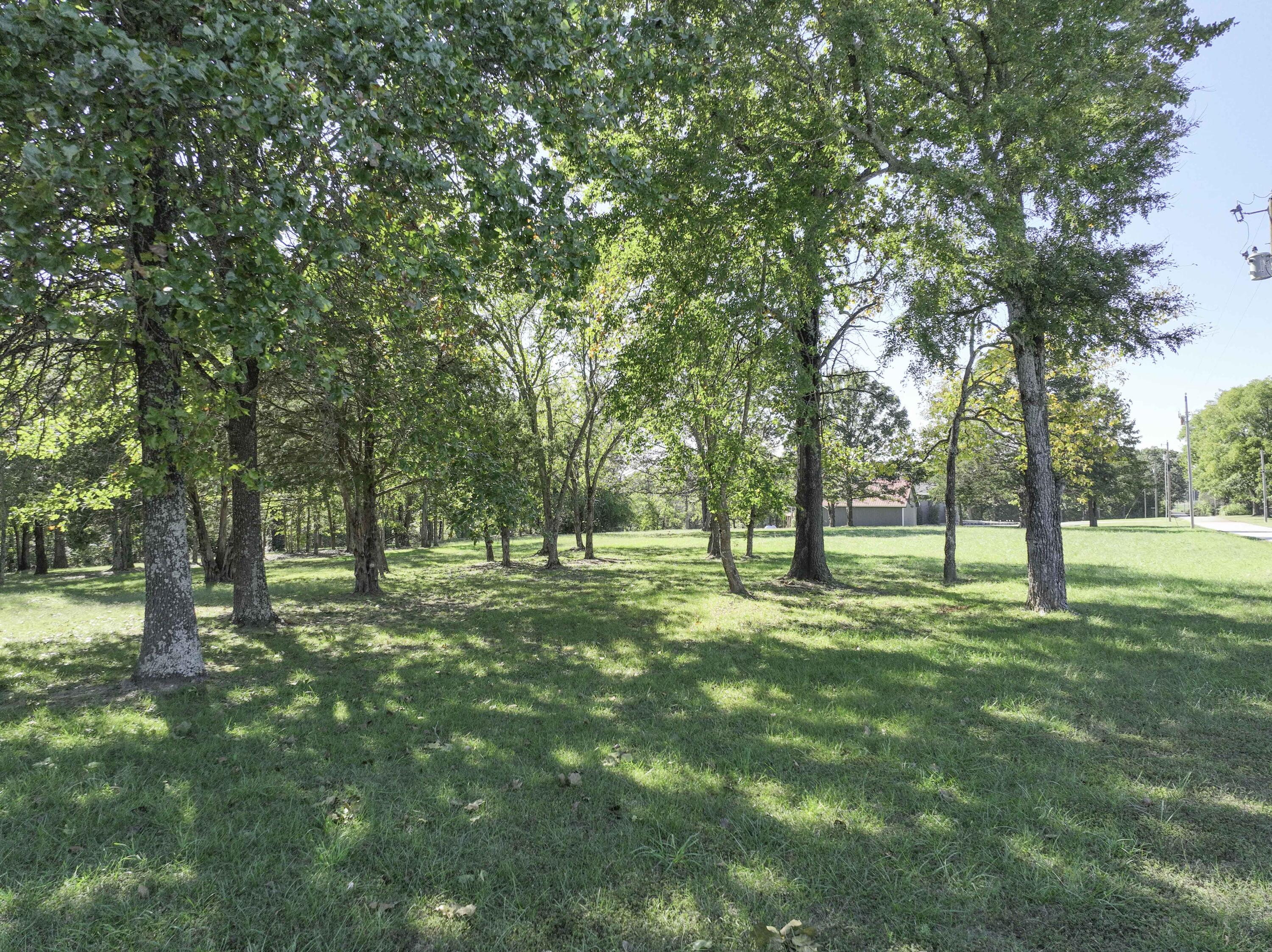 Photo 4 - Land for sale – 000  Navajo Hills Road  Shell Knob, MO