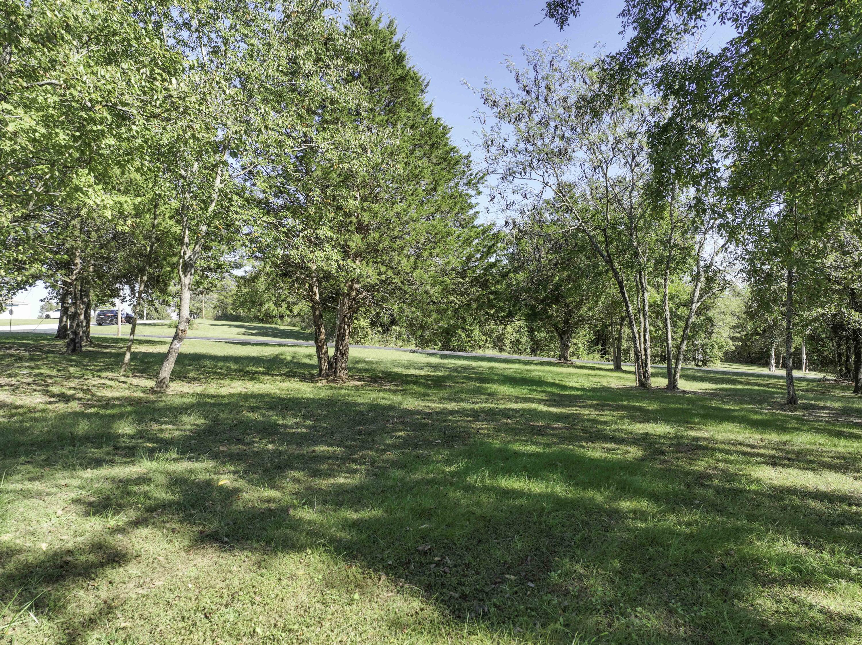 Photo 12 - Land for sale – 000  Navajo Hills Road  Shell Knob, MO