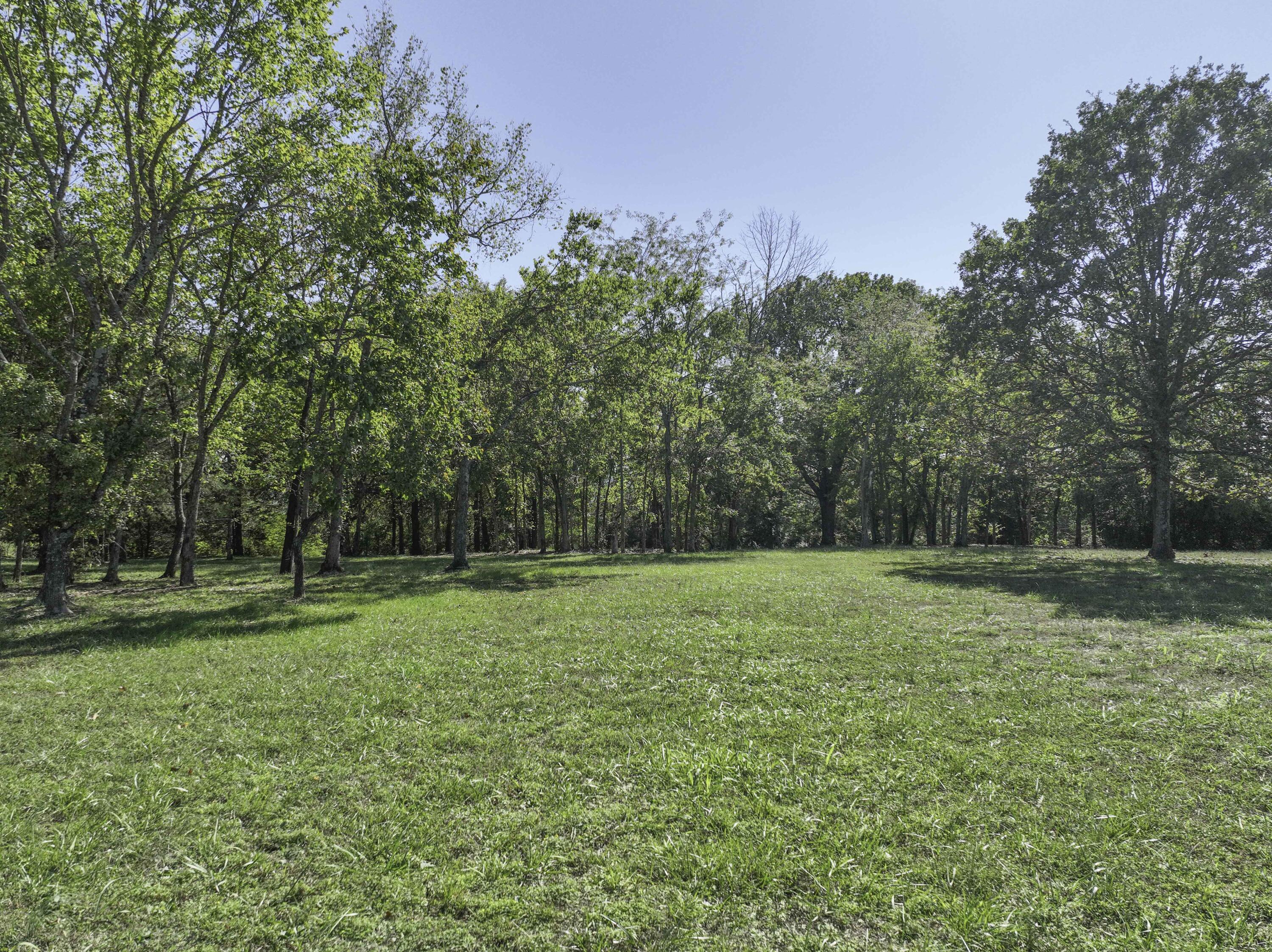 Photo 15 - Land for sale – 000  Navajo Hills Road  Shell Knob, MO