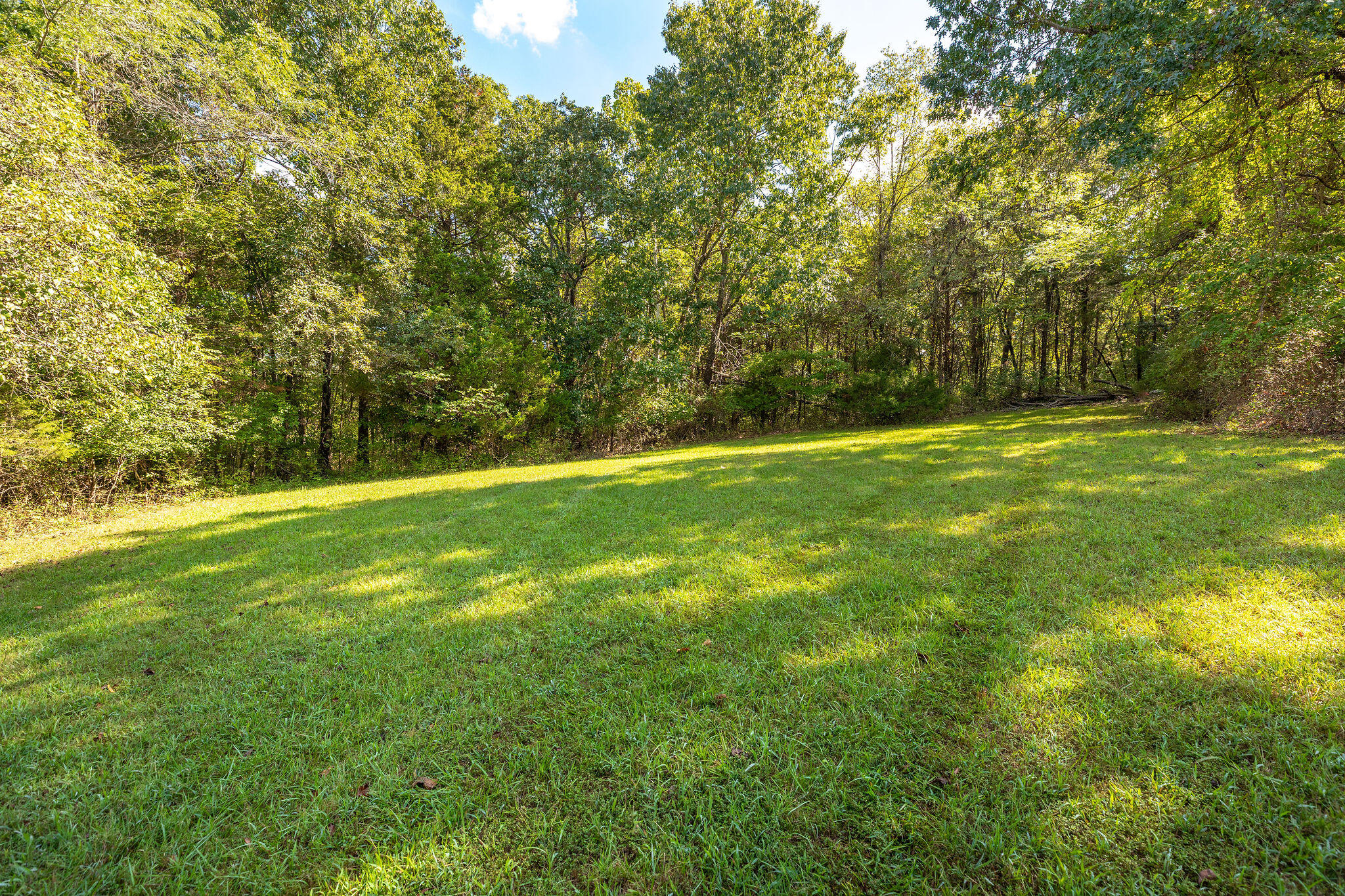 Photo 6 - Land for sale – 4441 E Farm Road 166   Springfield, MO