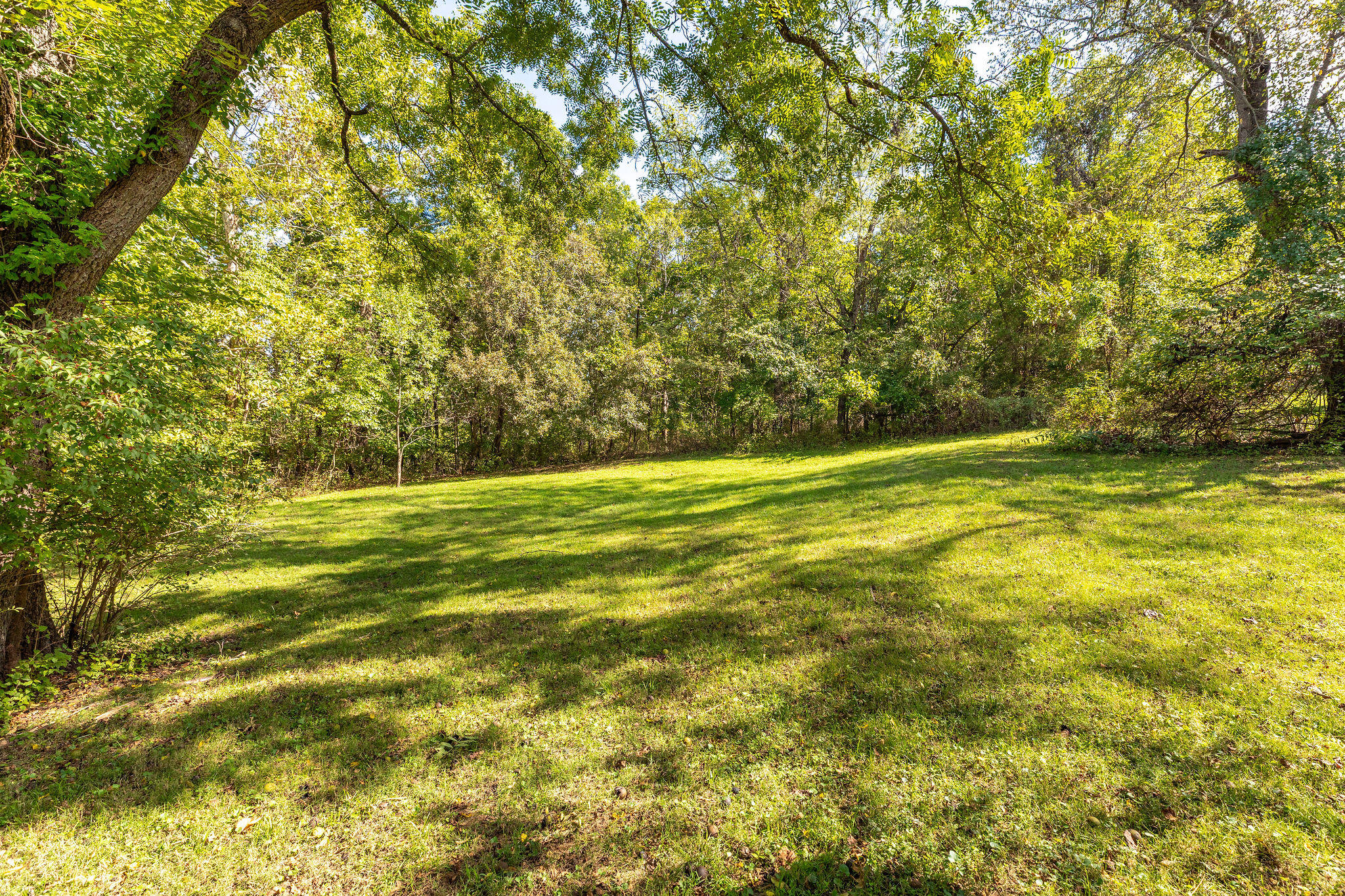 Photo 4 - Land for sale – 4441 E Farm Road 166   Springfield, MO