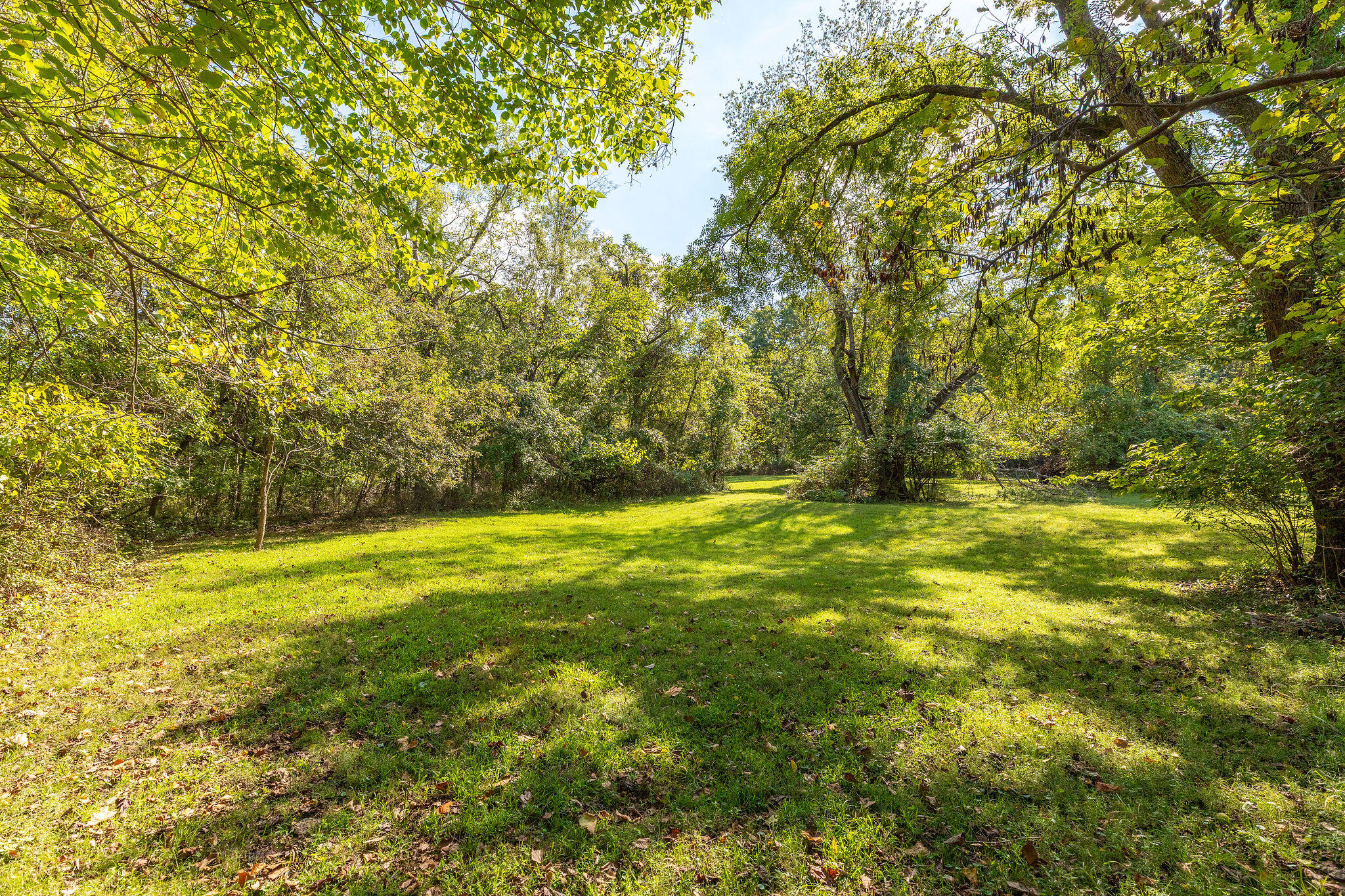 Photo 5 - Land for sale – 4441 E Farm Road 166   Springfield, MO