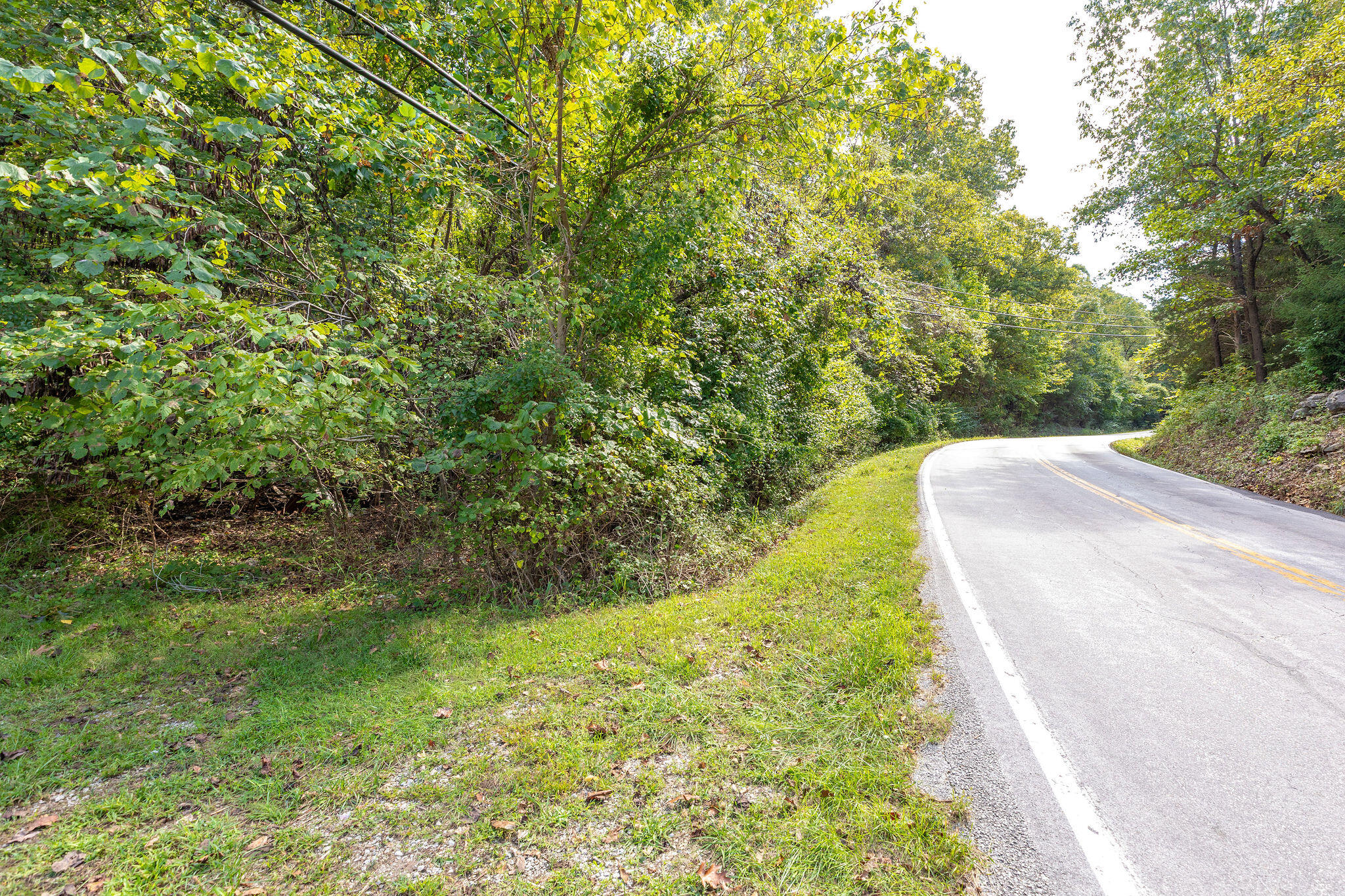 Photo 9 - Land for sale – 4441 E Farm Road 166   Springfield, MO