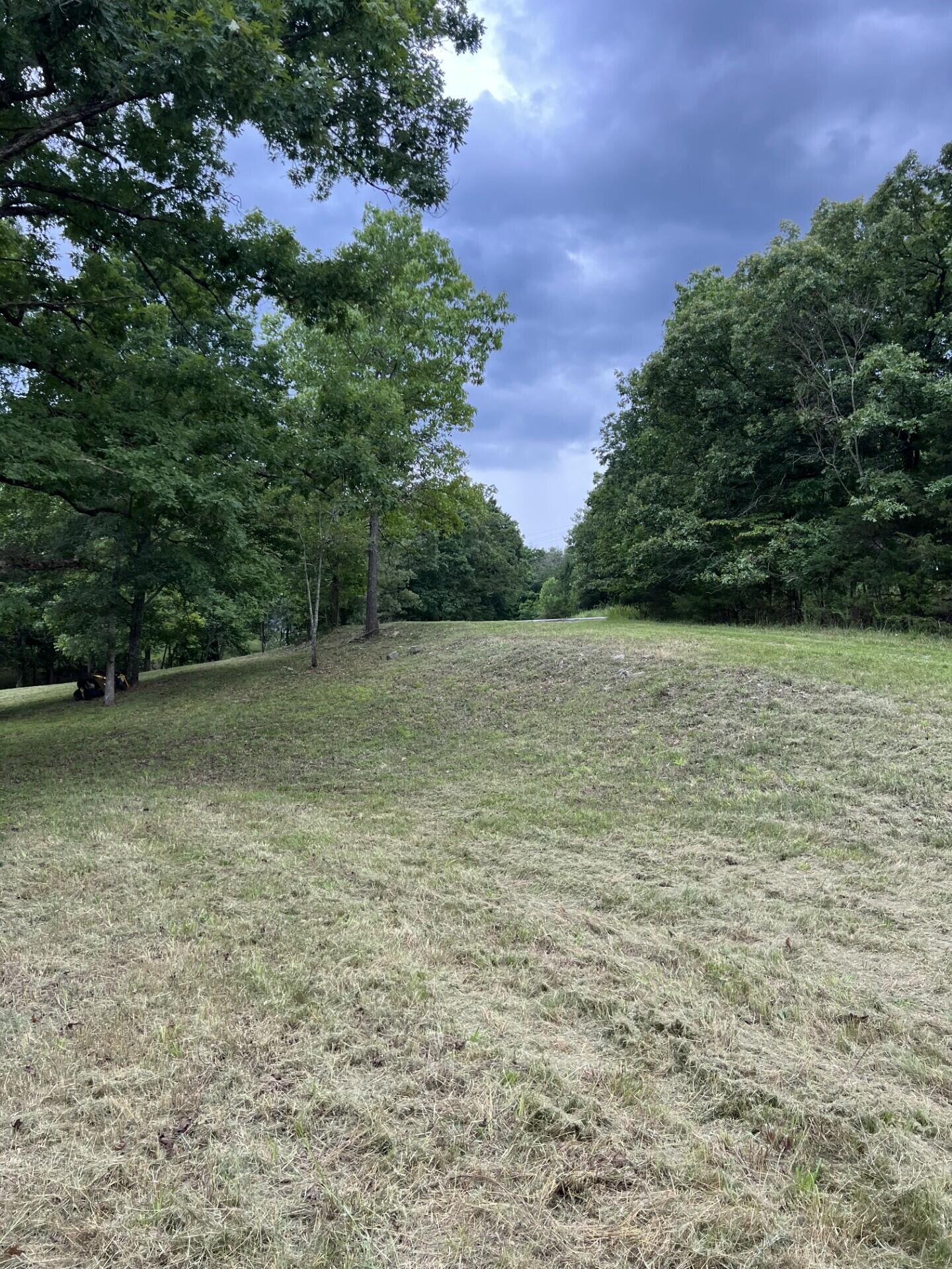 Photo 5 - Land for sale – 000  Vin Villa   Forsyth, MO