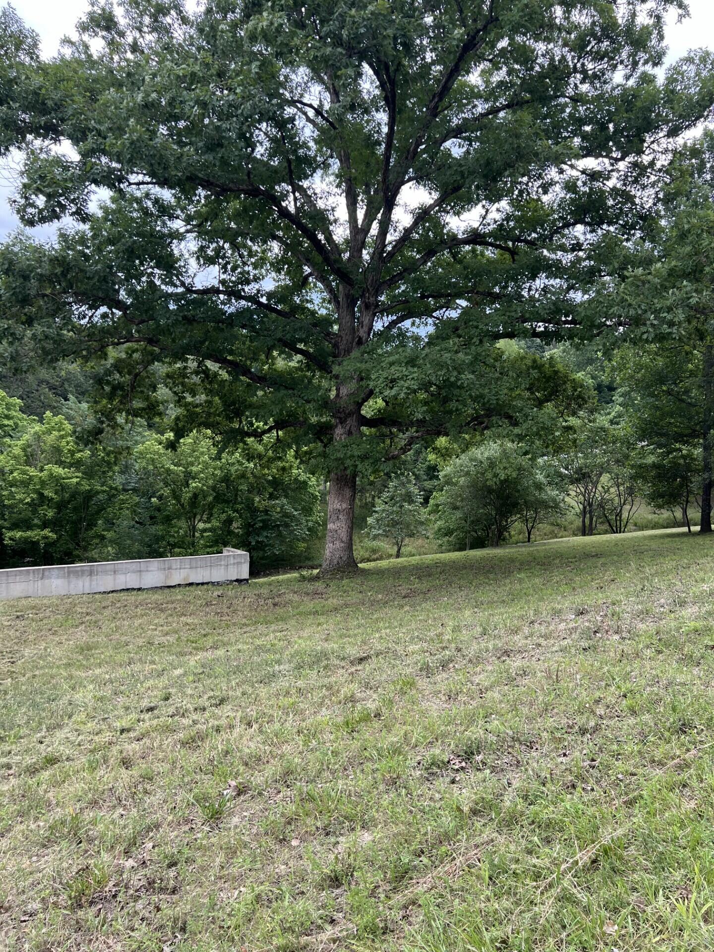 Photo 11 - Land for sale – 000  Vin Villa   Forsyth, MO