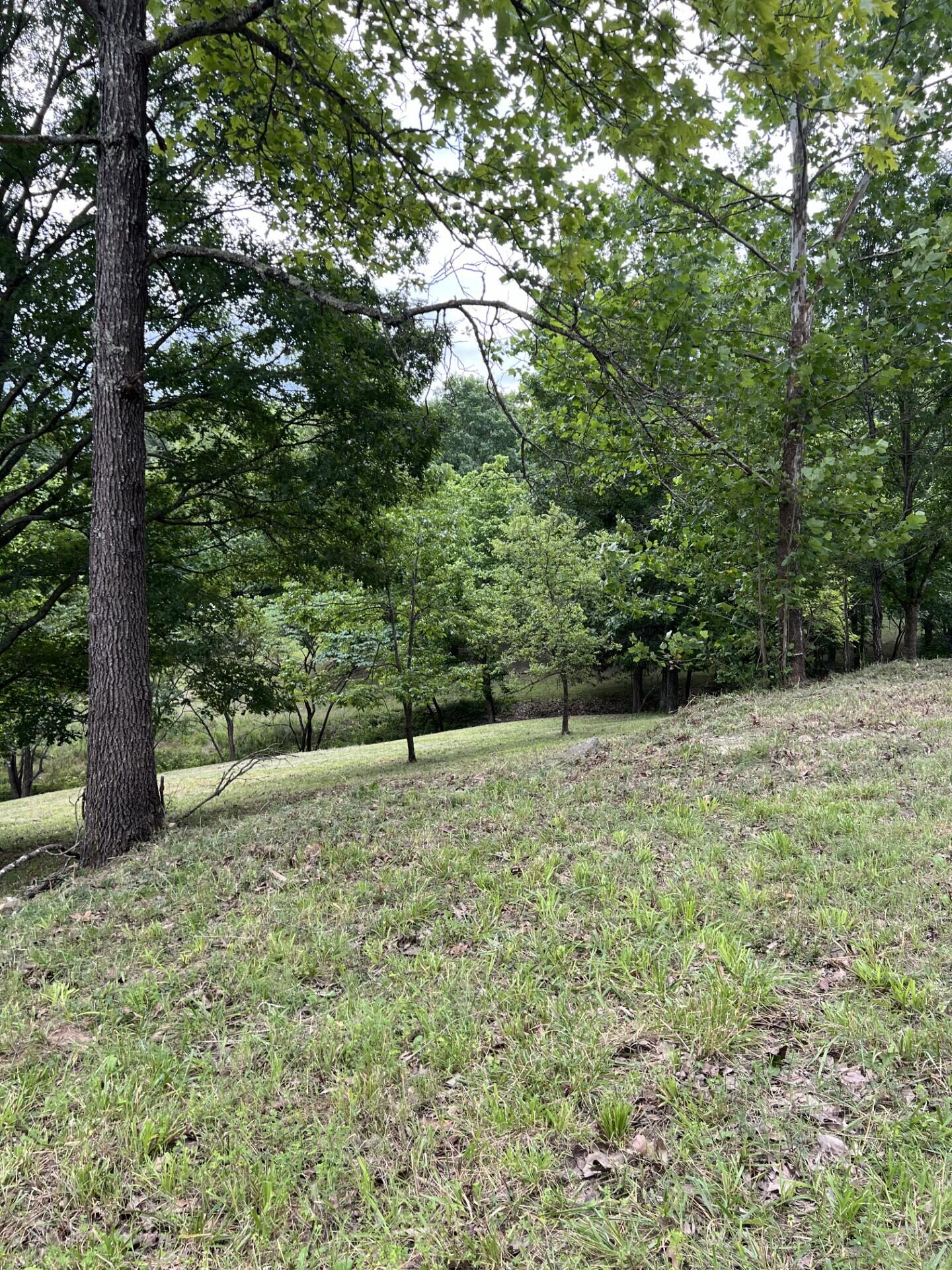 Photo 14 - Land for sale – 000  Vin Villa   Forsyth, MO