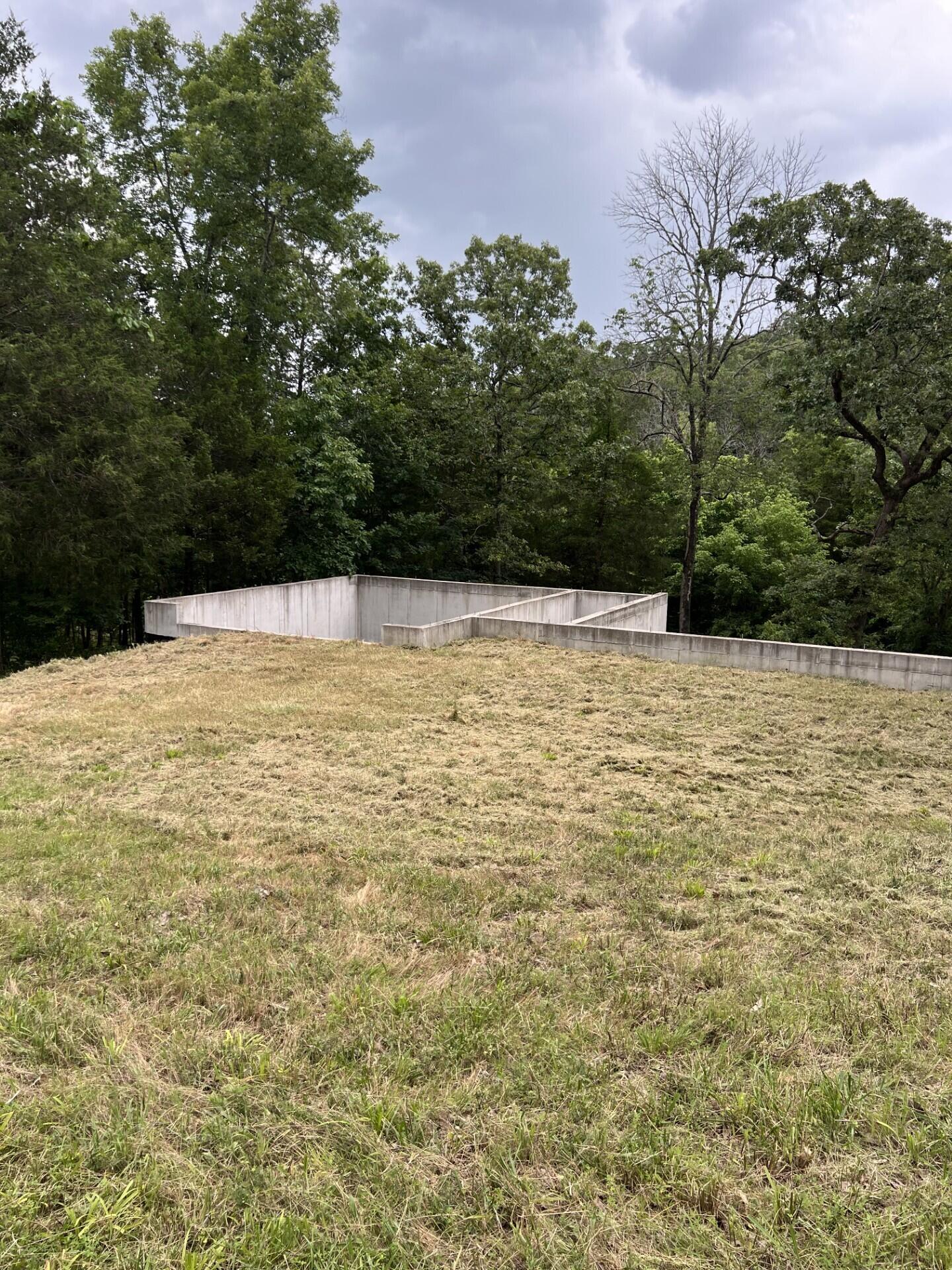 Photo 13 - Land for sale – 000  Vin Villa   Forsyth, MO