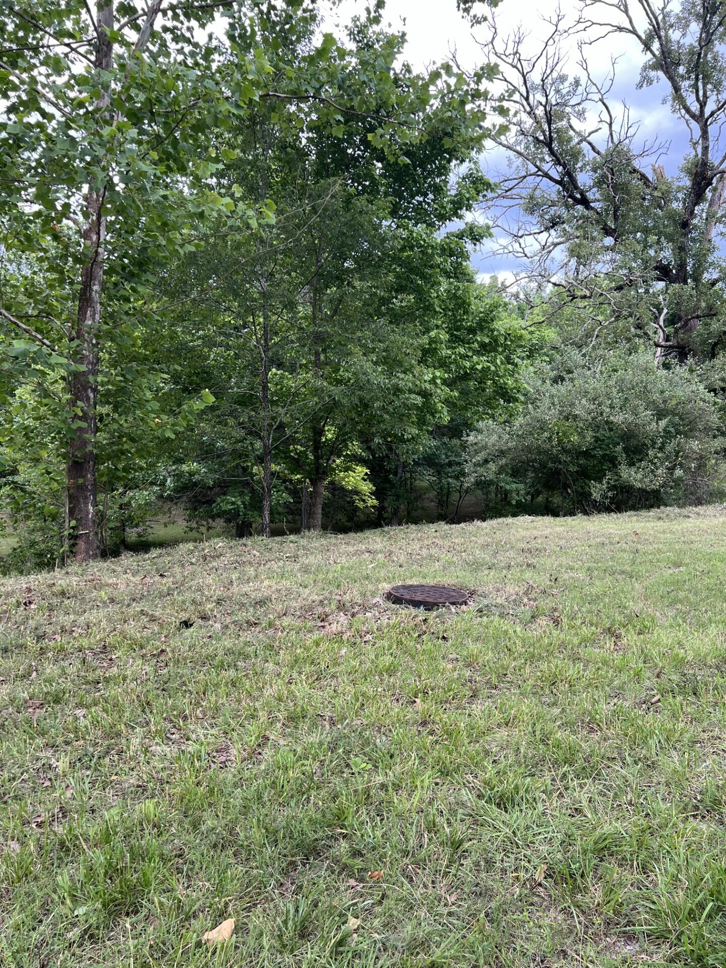 Land for sale – 000  Vin Villa   Forsyth, MO