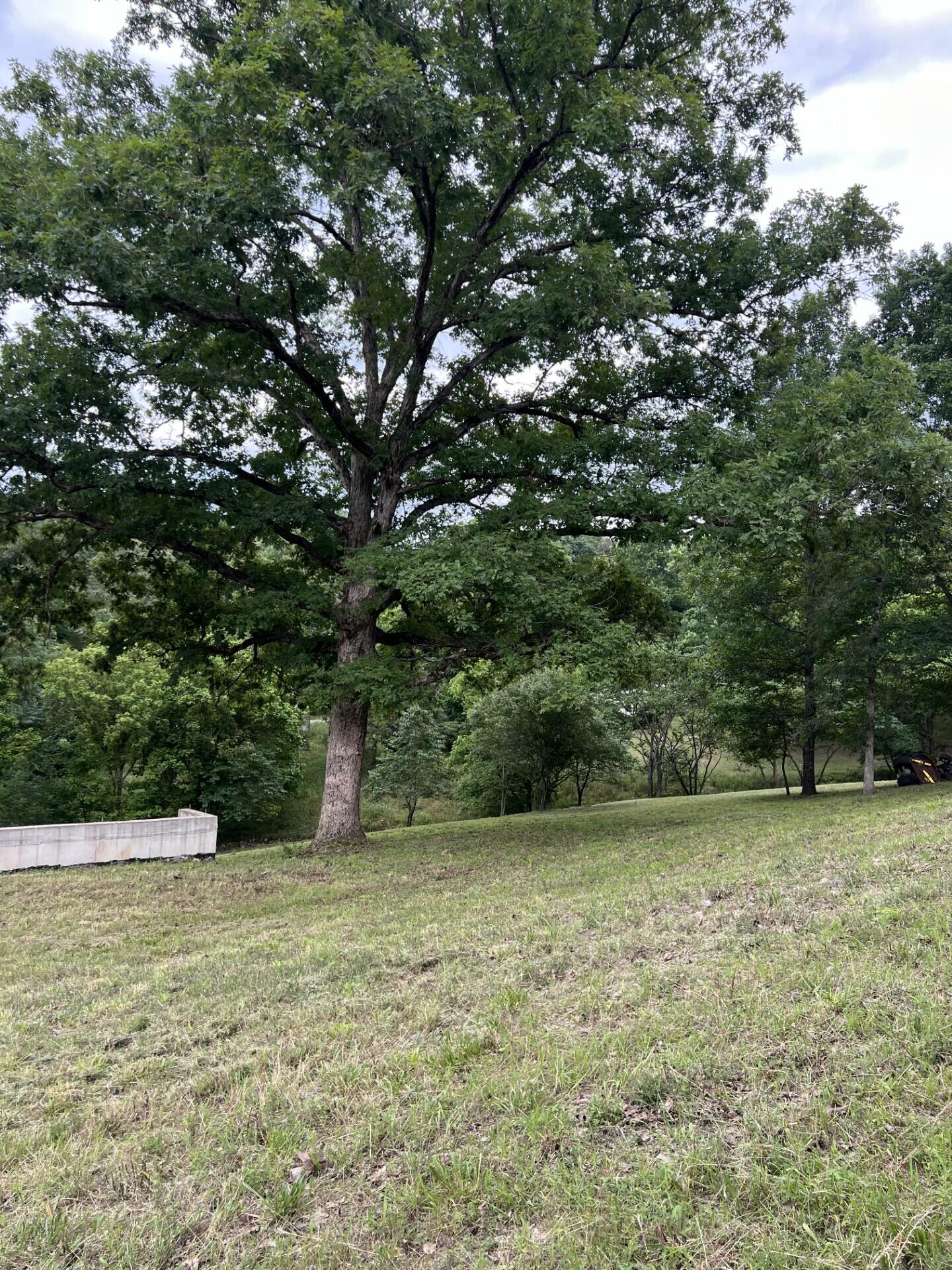 Photo 3 - Land for sale – 000  Vin Villa   Forsyth, MO