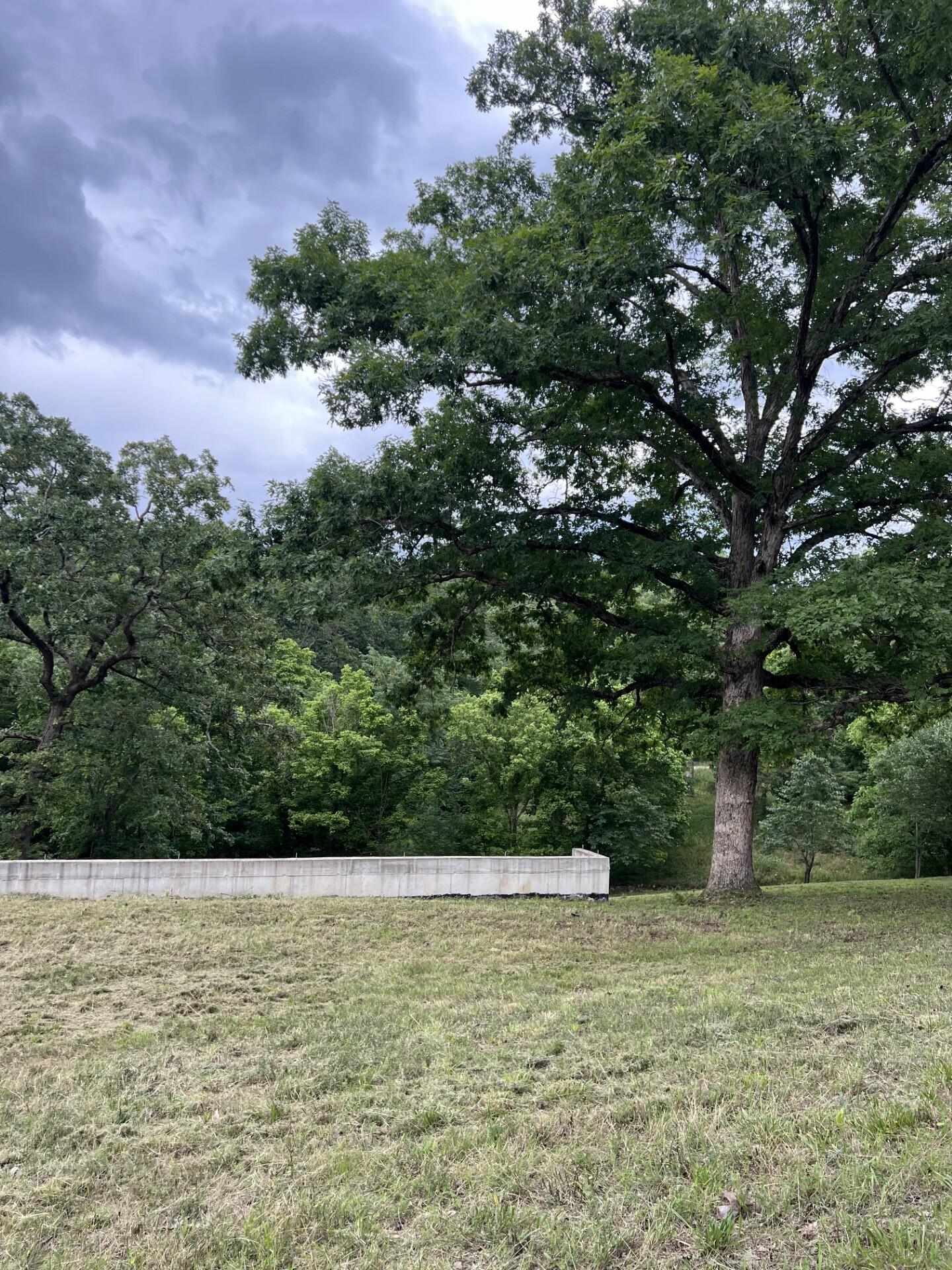 Photo 4 - Land for sale – 000  Vin Villa   Forsyth, MO