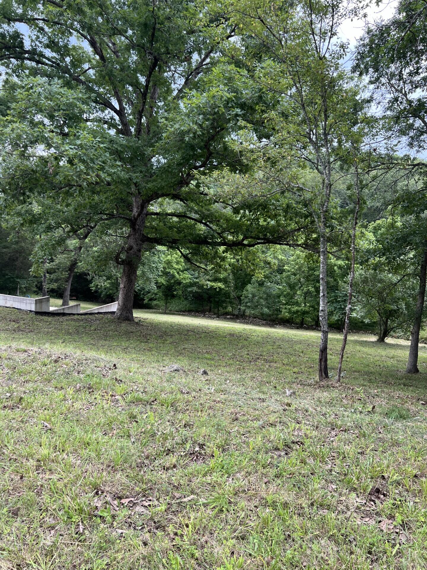 Photo 17 - Land for sale – 000  Vin Villa   Forsyth, MO