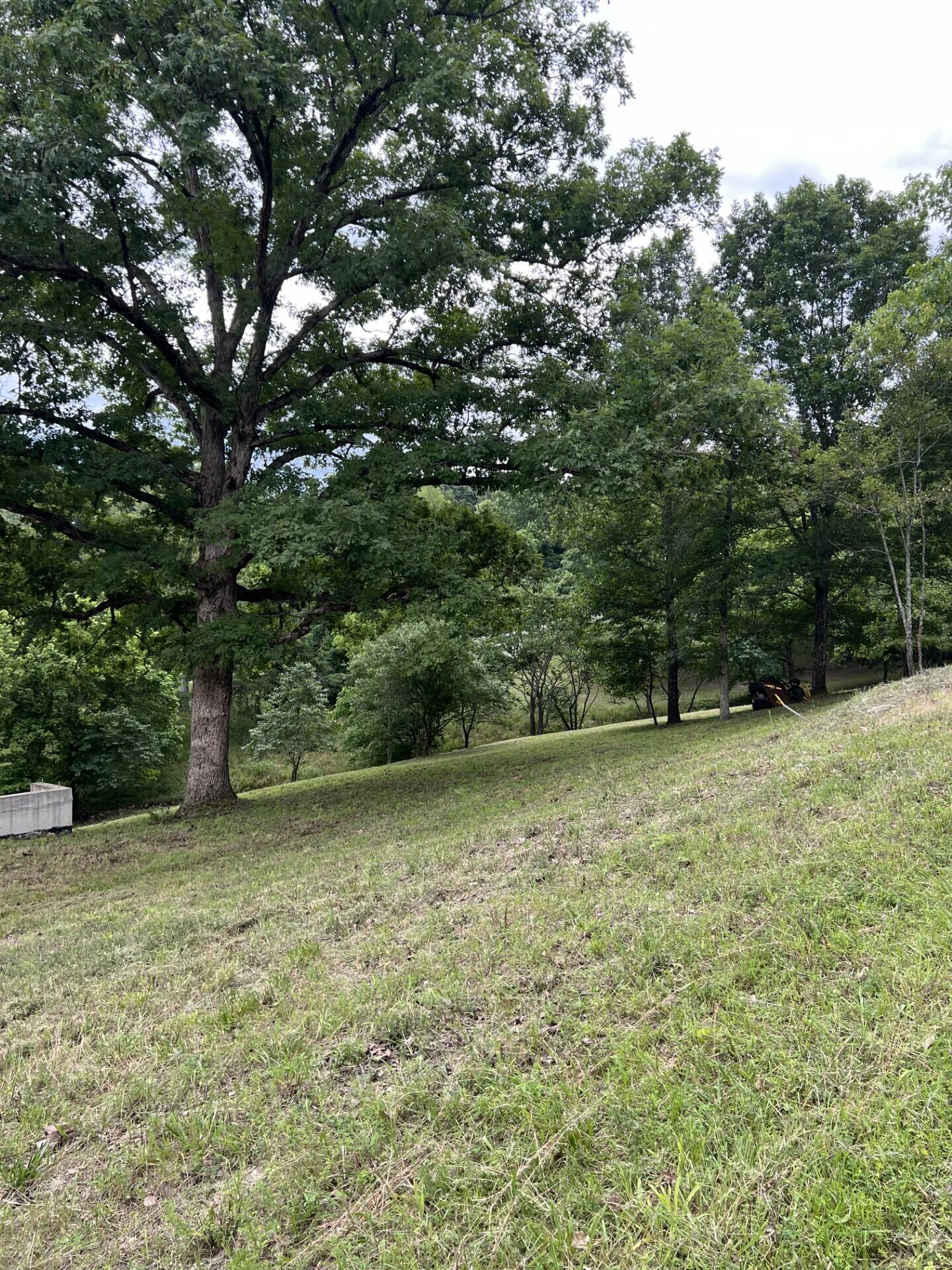 Photo 10 - Land for sale – 000  Vin Villa   Forsyth, MO