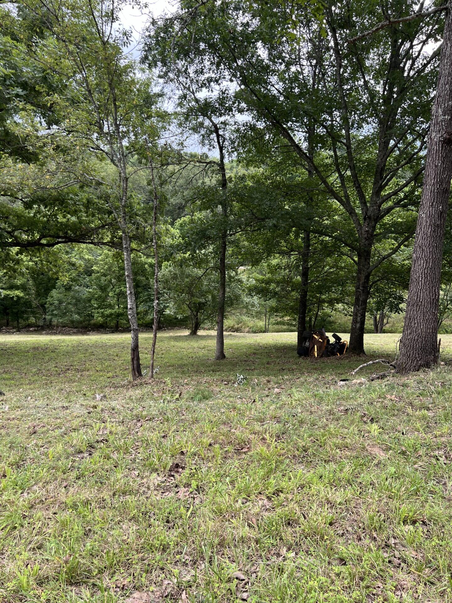 Photo 15 - Land for sale – 000  Vin Villa   Forsyth, MO