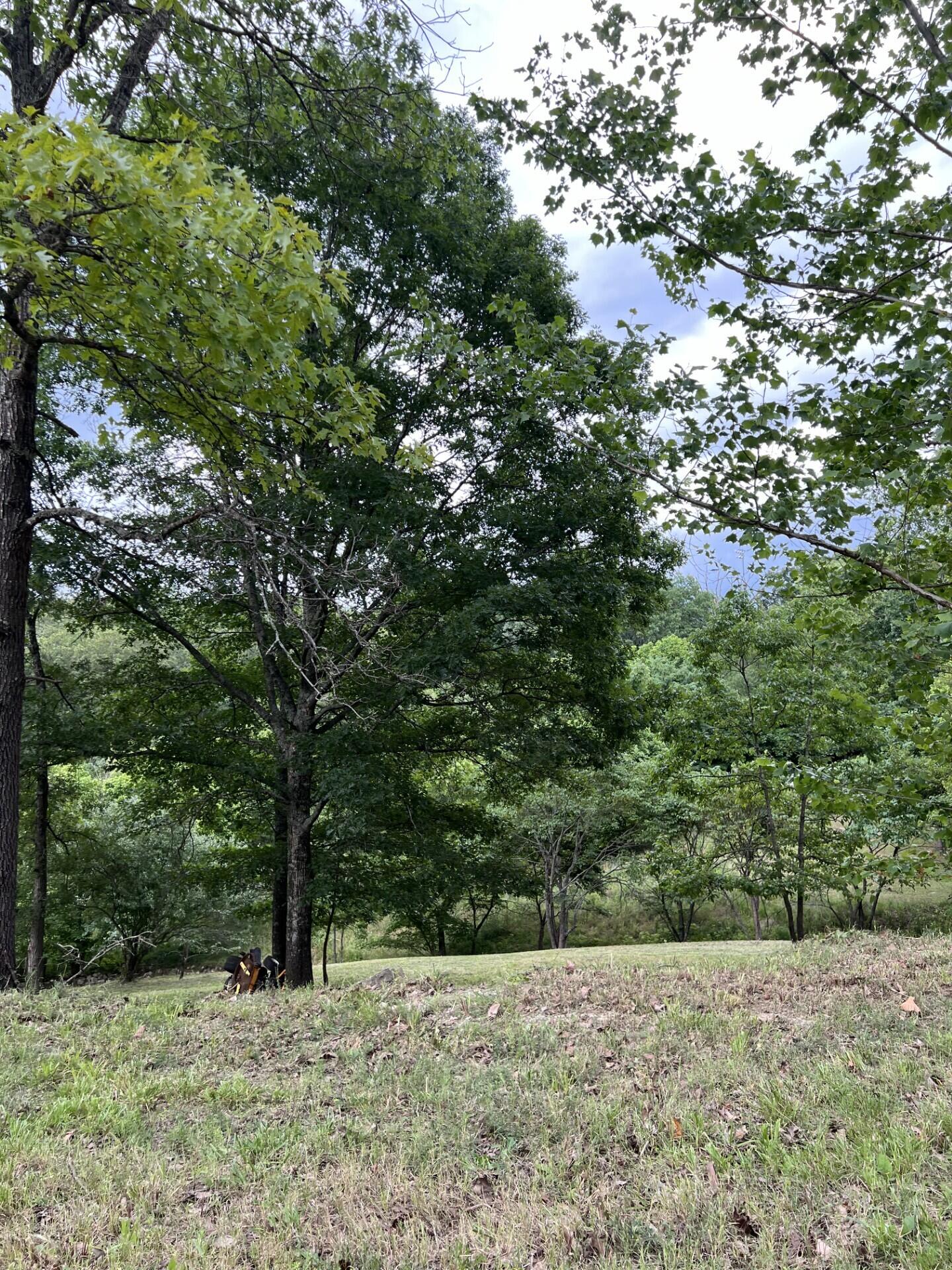 Photo 2 - Land for sale – 000  Vin Villa   Forsyth, MO