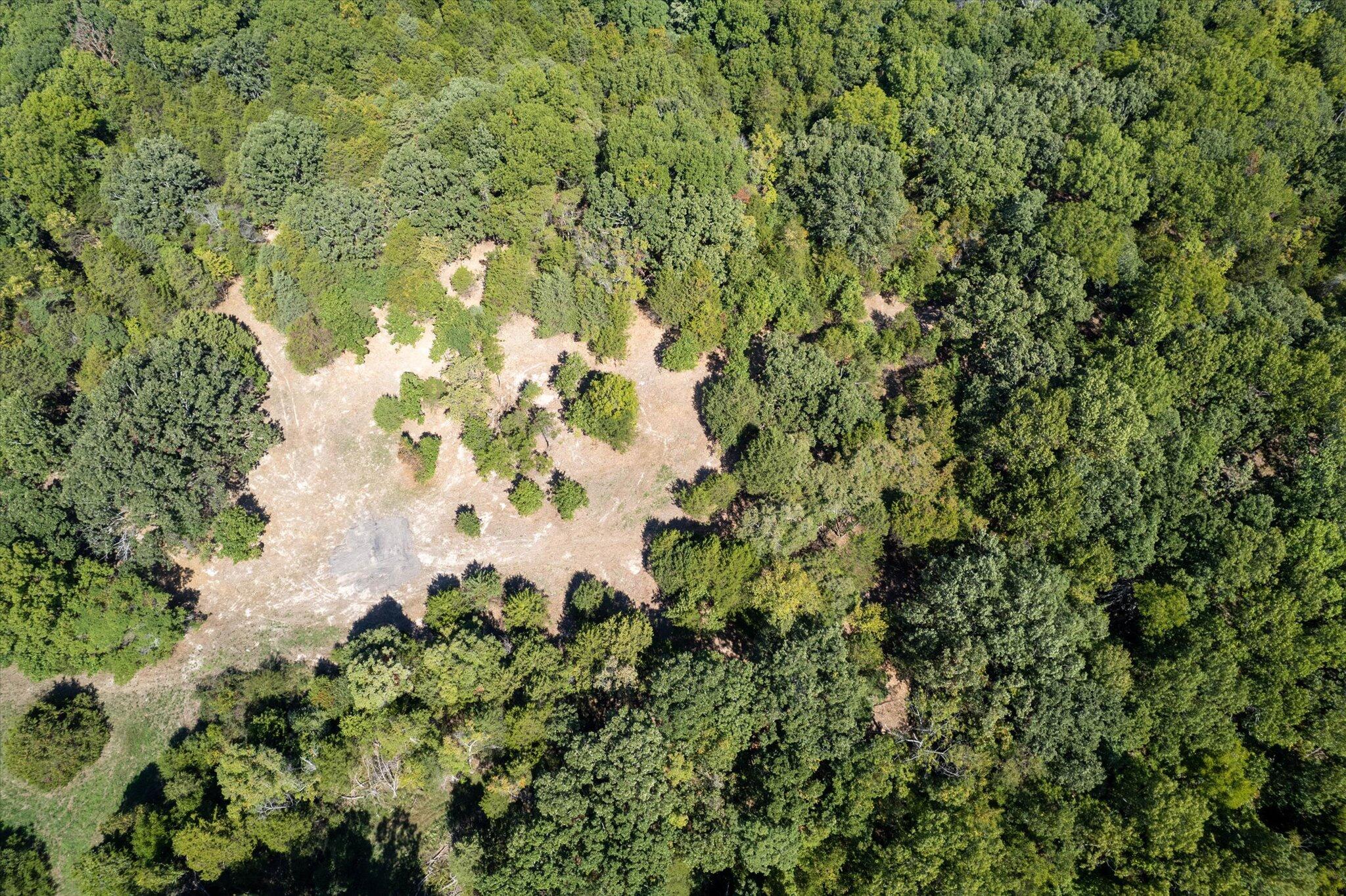 Photo 8 - Land for sale – 000  Watts Road  Rogersville, MO