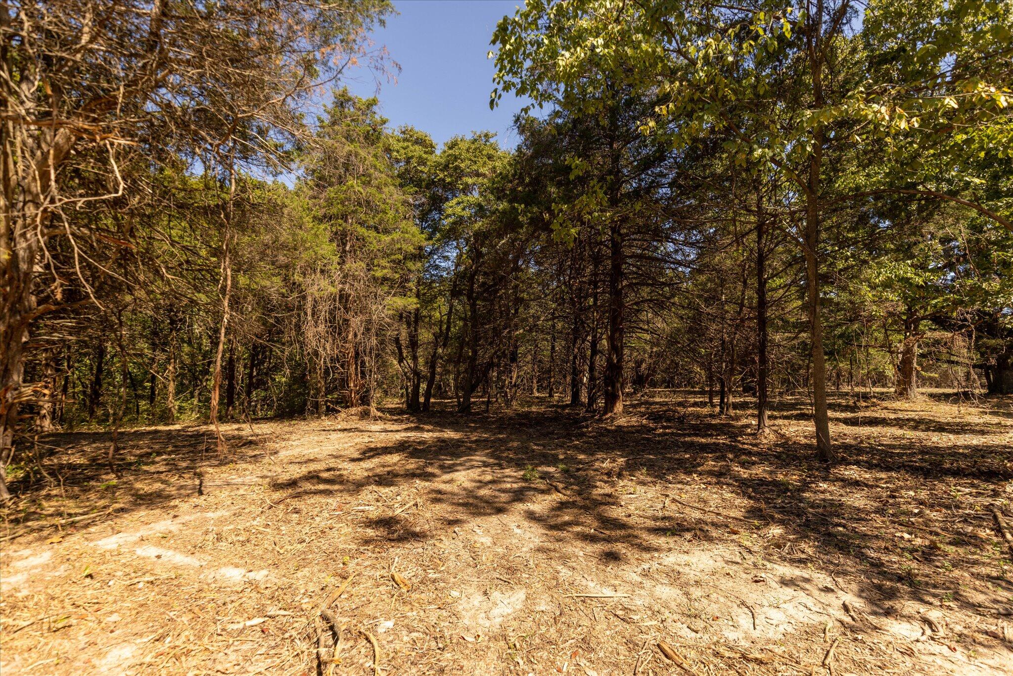 Photo 38 - Land for sale – 000  Watts Road  Rogersville, MO