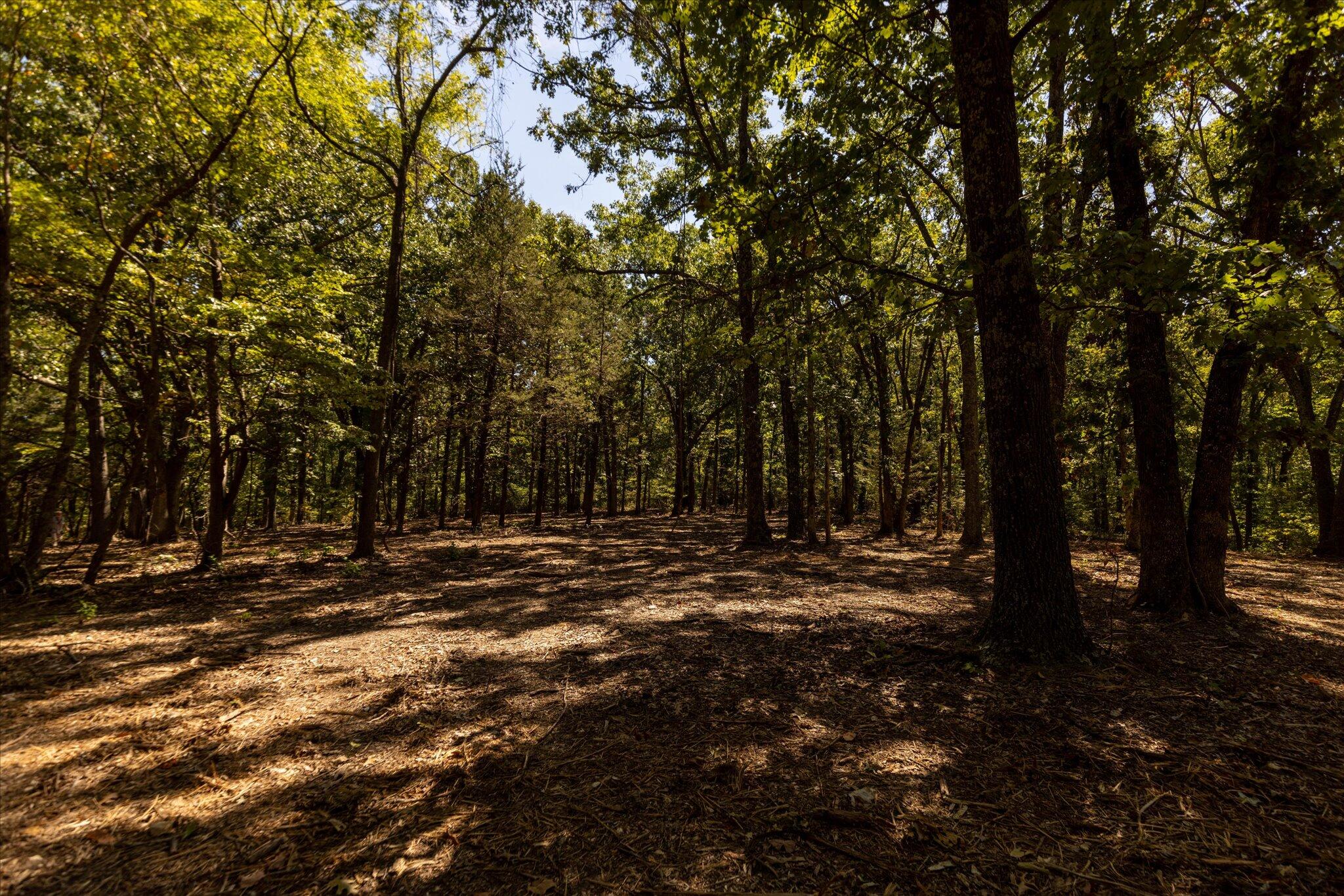 Photo 46 - Land for sale – 000  Watts Road  Rogersville, MO