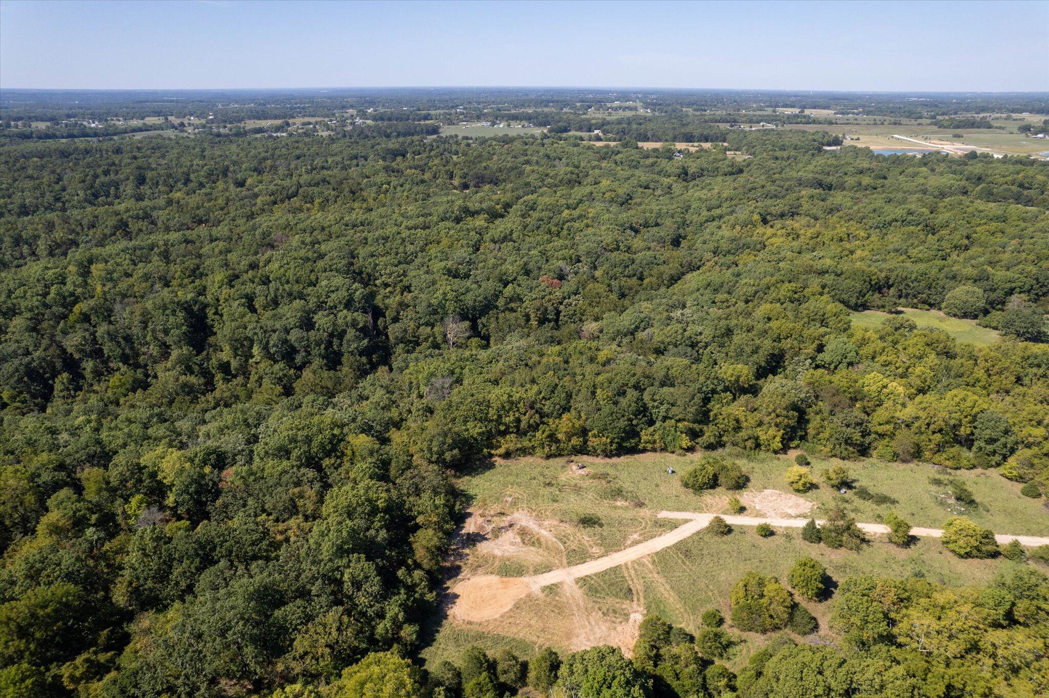 Photo 6 - Land for sale – 000  Watts Road  Rogersville, MO