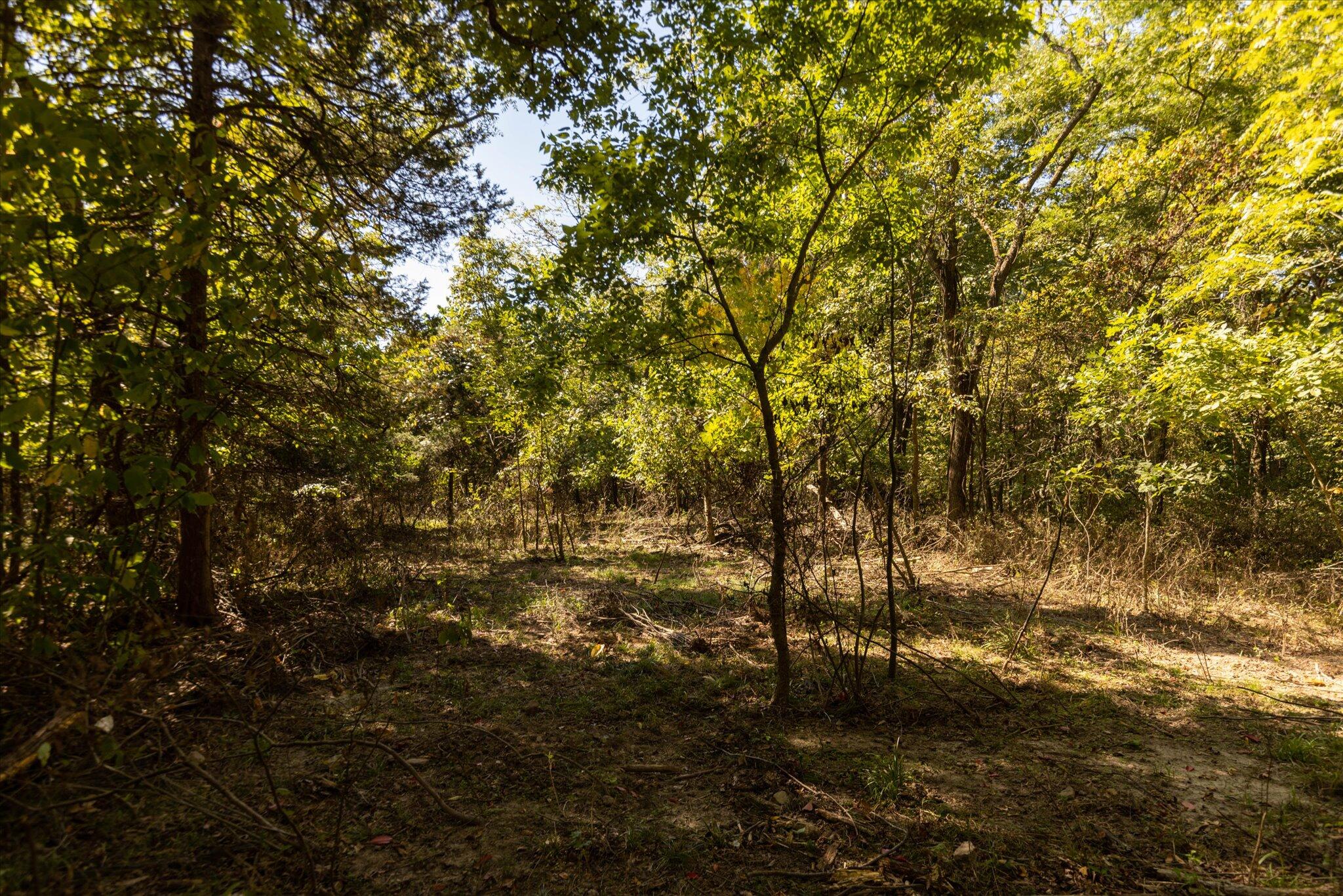 Photo 32 - Land for sale – 000  Watts Road  Rogersville, MO