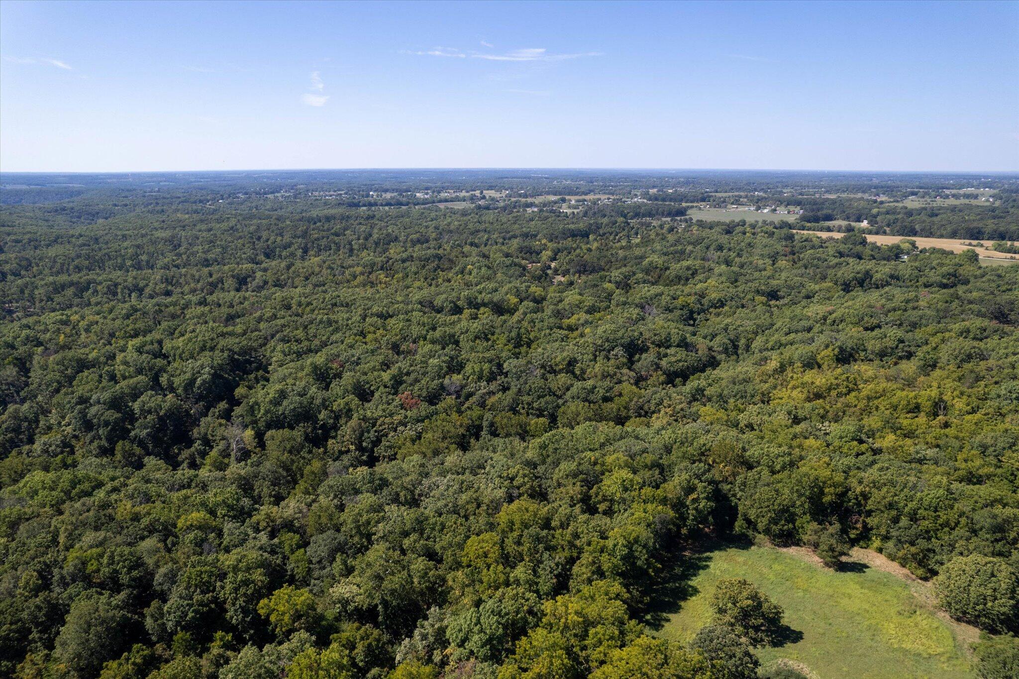 Photo 14 - Land for sale – 000  Watts Road  Rogersville, MO
