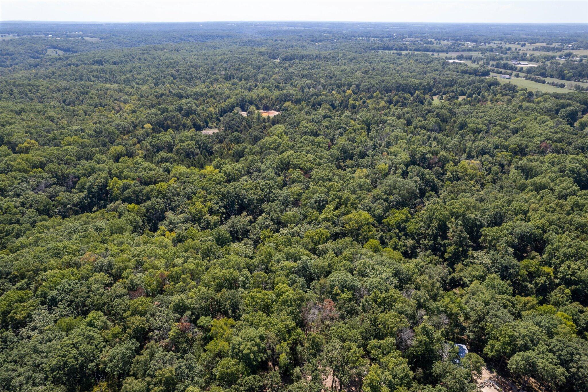 Photo 2 - Land for sale – 000  Watts Road  Rogersville, MO