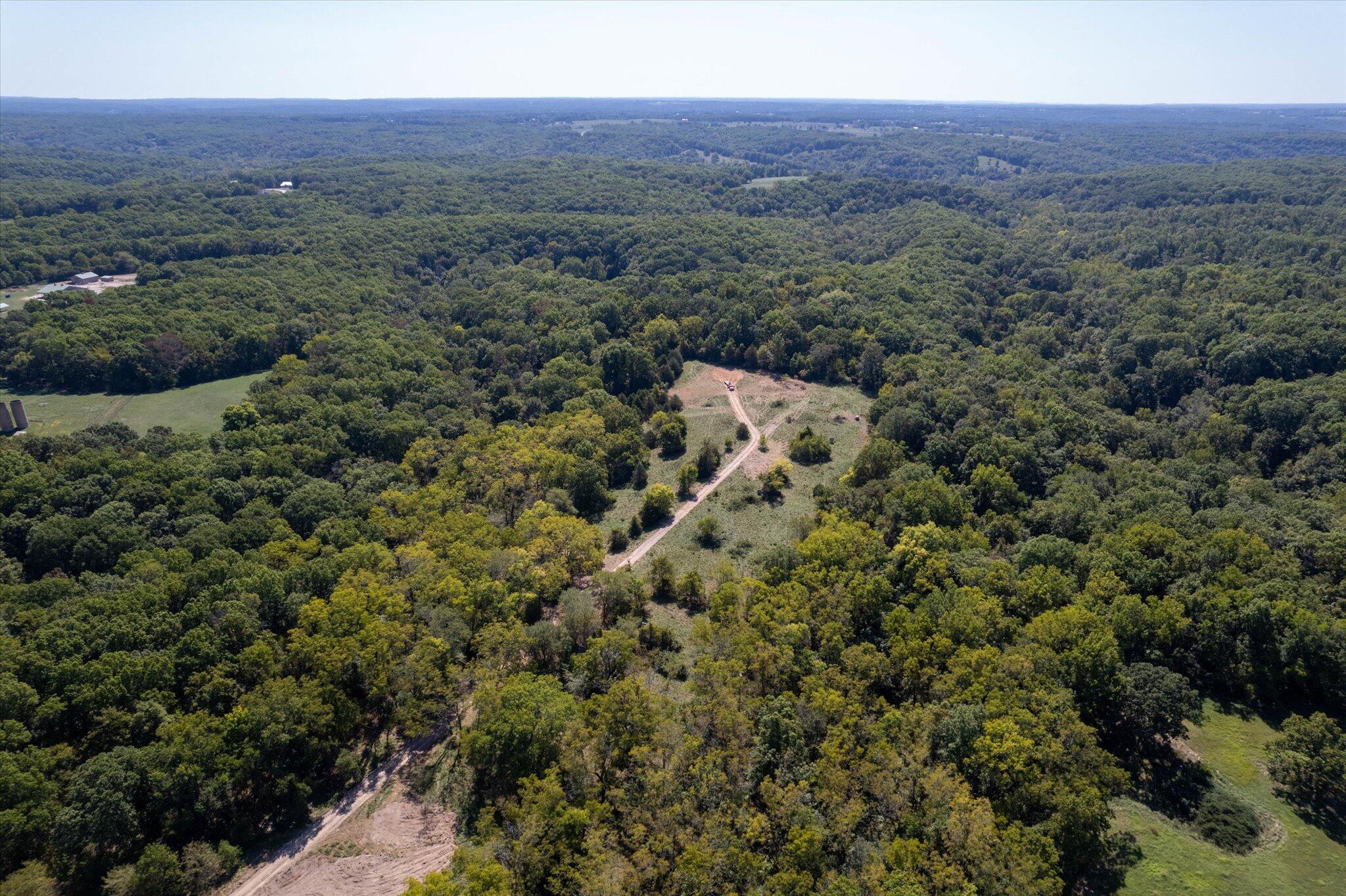 Photo 13 - Land for sale – 000  Watts Road  Rogersville, MO