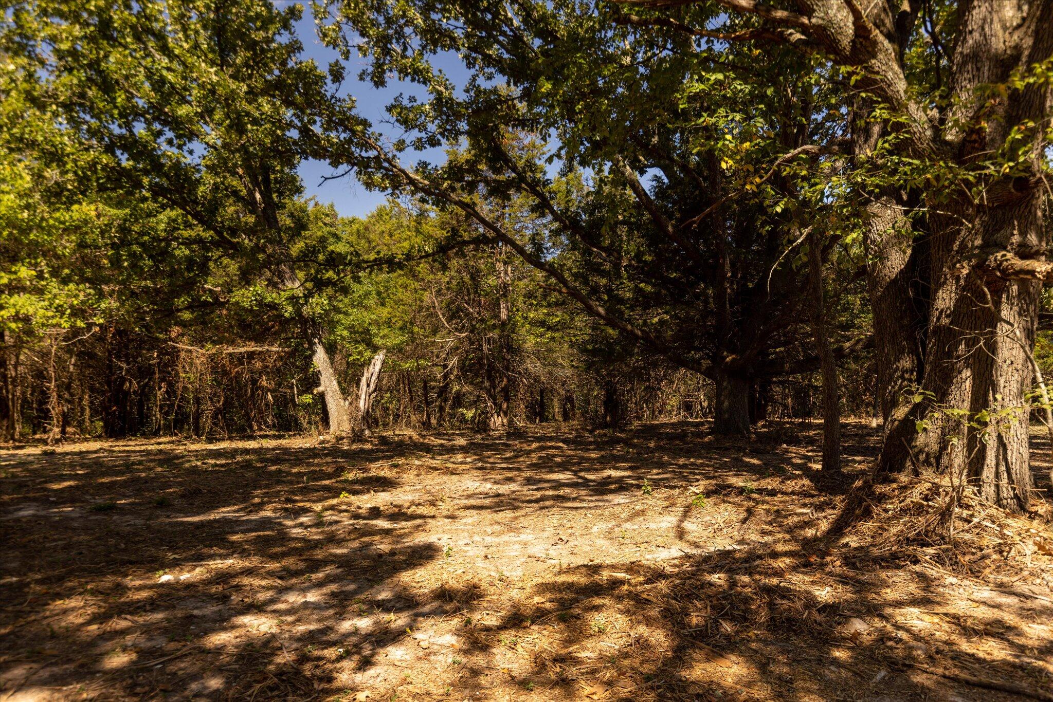 Photo 43 - Land for sale – 000  Watts Road  Rogersville, MO