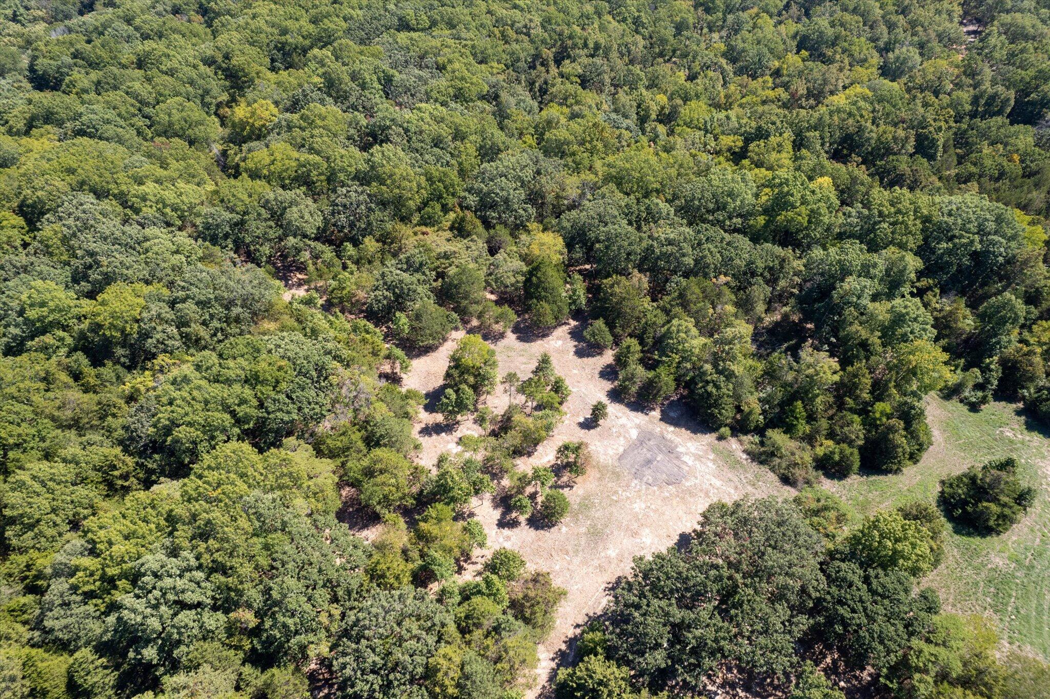 Photo 4 - Land for sale – 000  Watts Road  Rogersville, MO