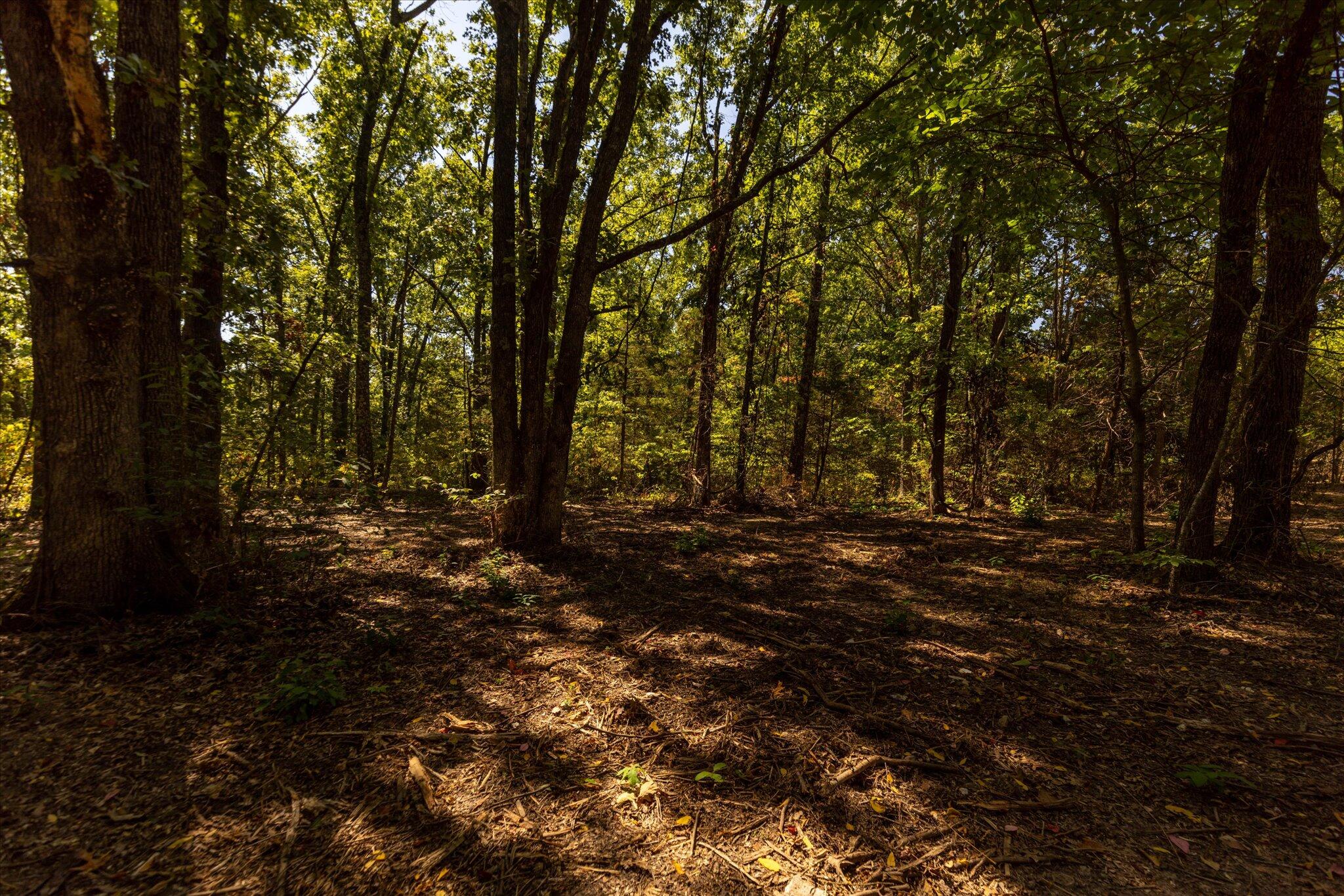 Photo 45 - Land for sale – 000  Watts Road  Rogersville, MO