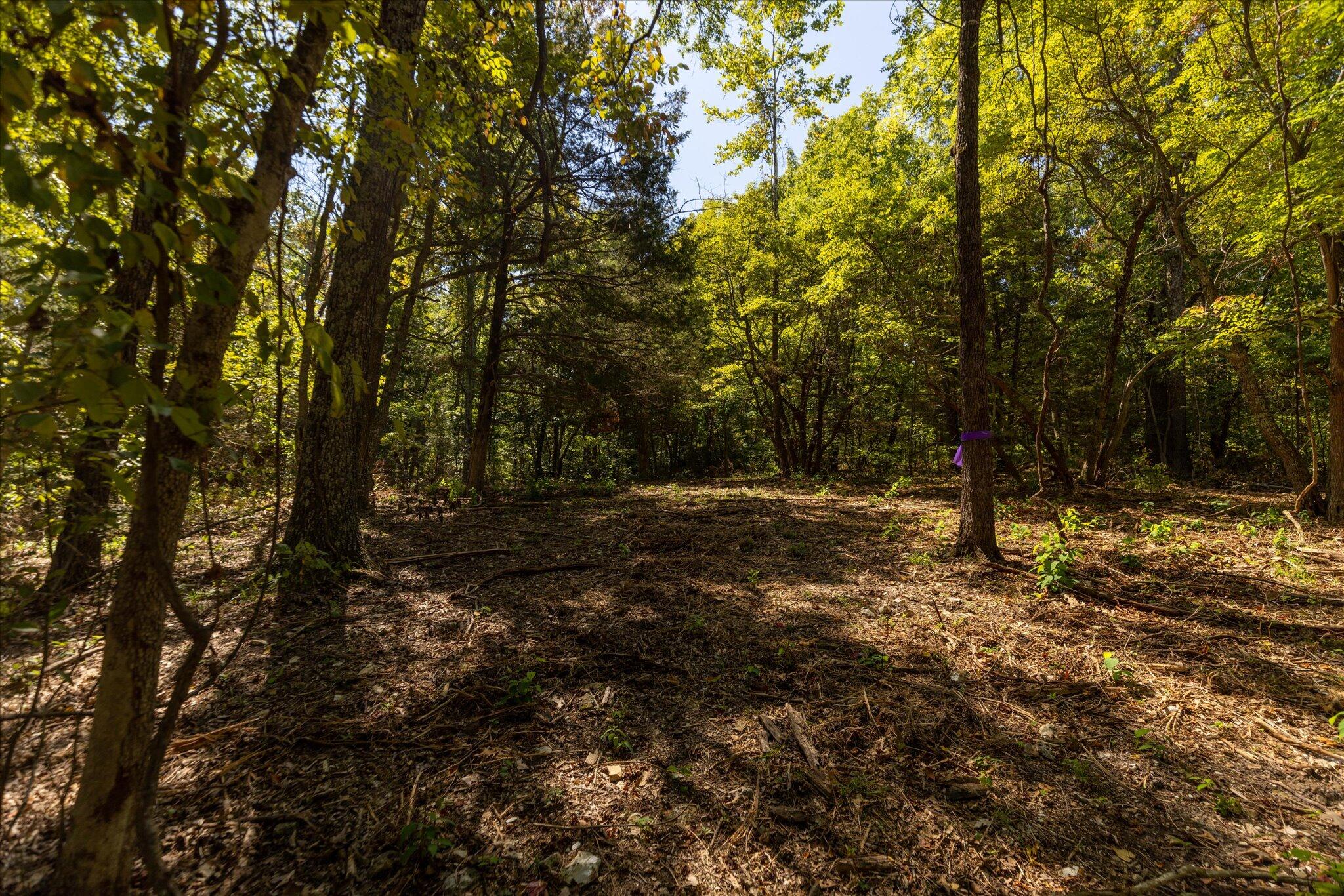 Photo 51 - Land for sale – 000  Watts Road  Rogersville, MO