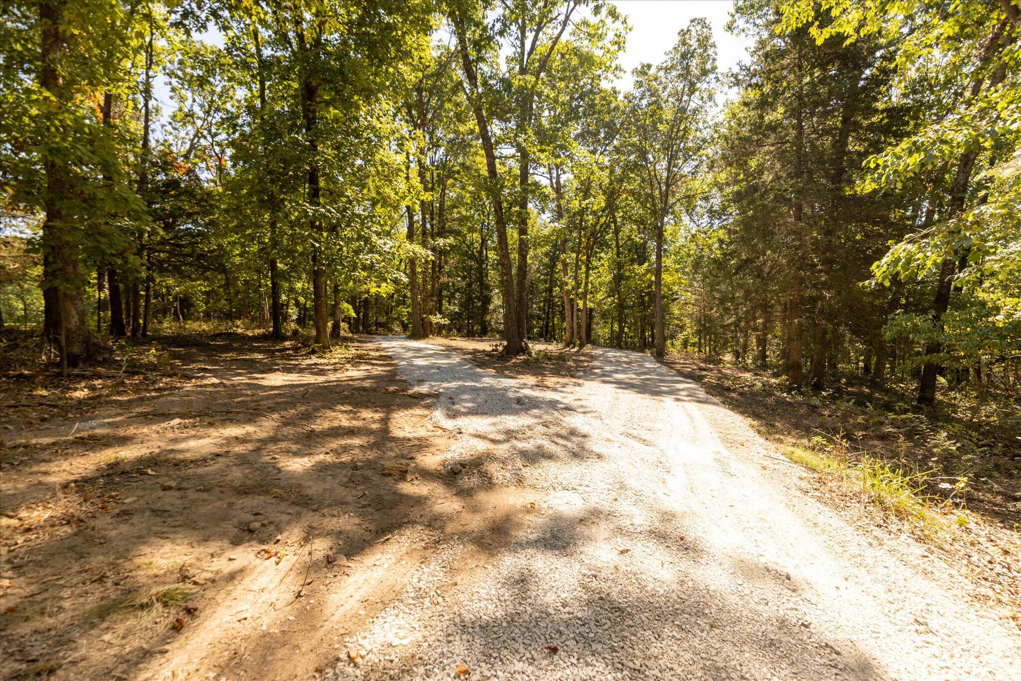 Photo 36 - Land for sale – 000  Watts Road  Rogersville, MO
