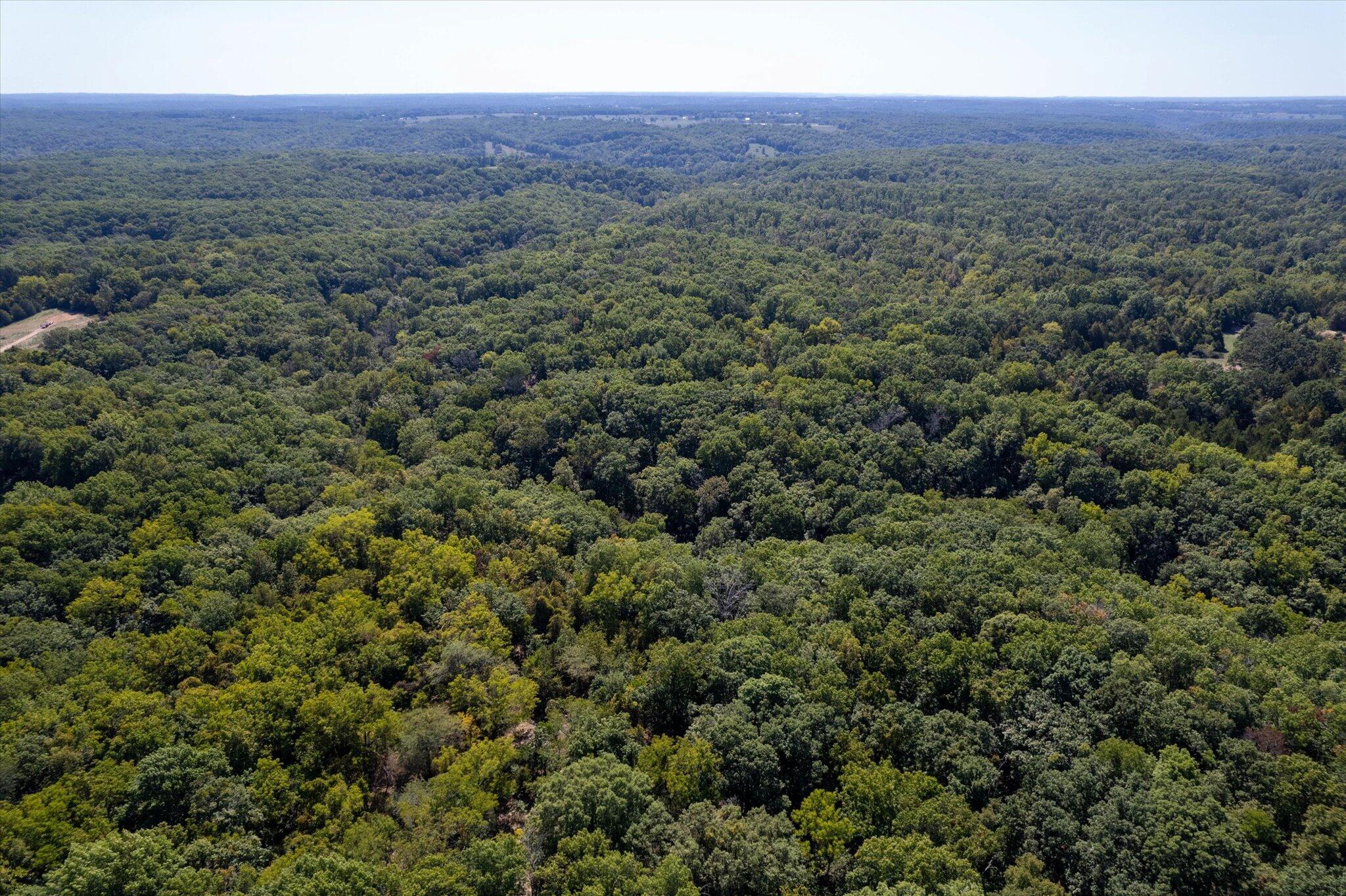Photo 12 - Land for sale – 000  Watts Road  Rogersville, MO