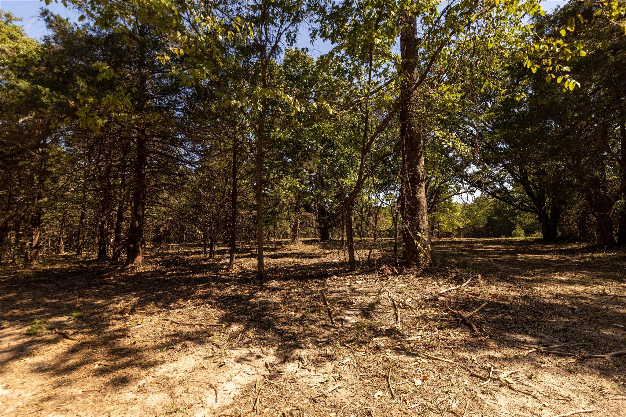 Photo 39 - Land for sale – 000  Watts Road  Rogersville, MO