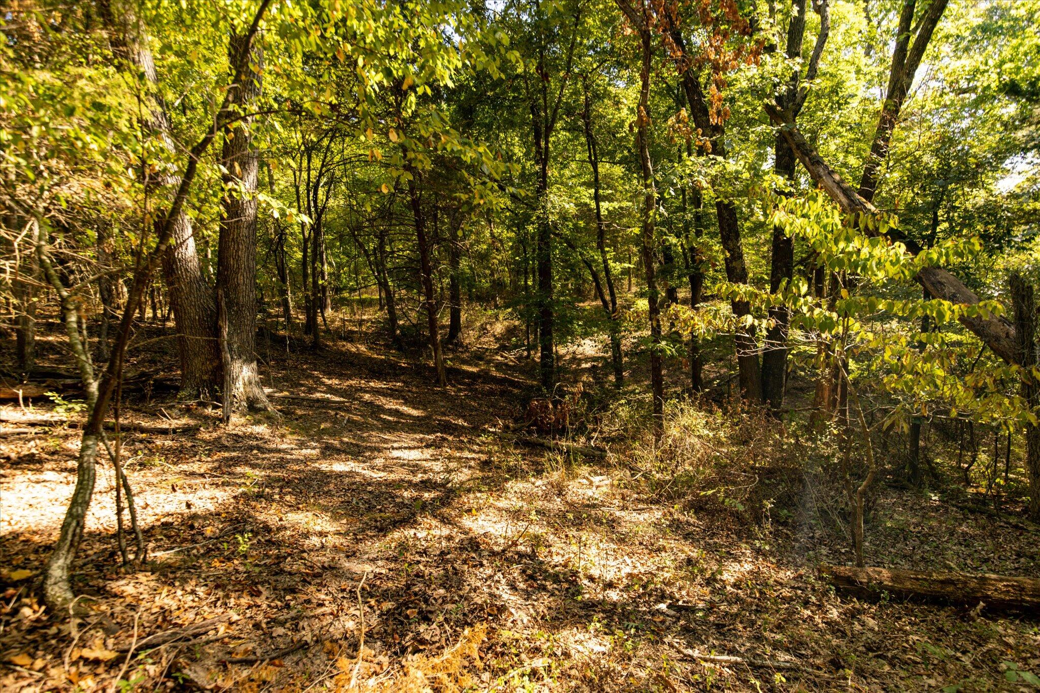 Photo 26 - Land for sale – 000  Watts Road  Rogersville, MO