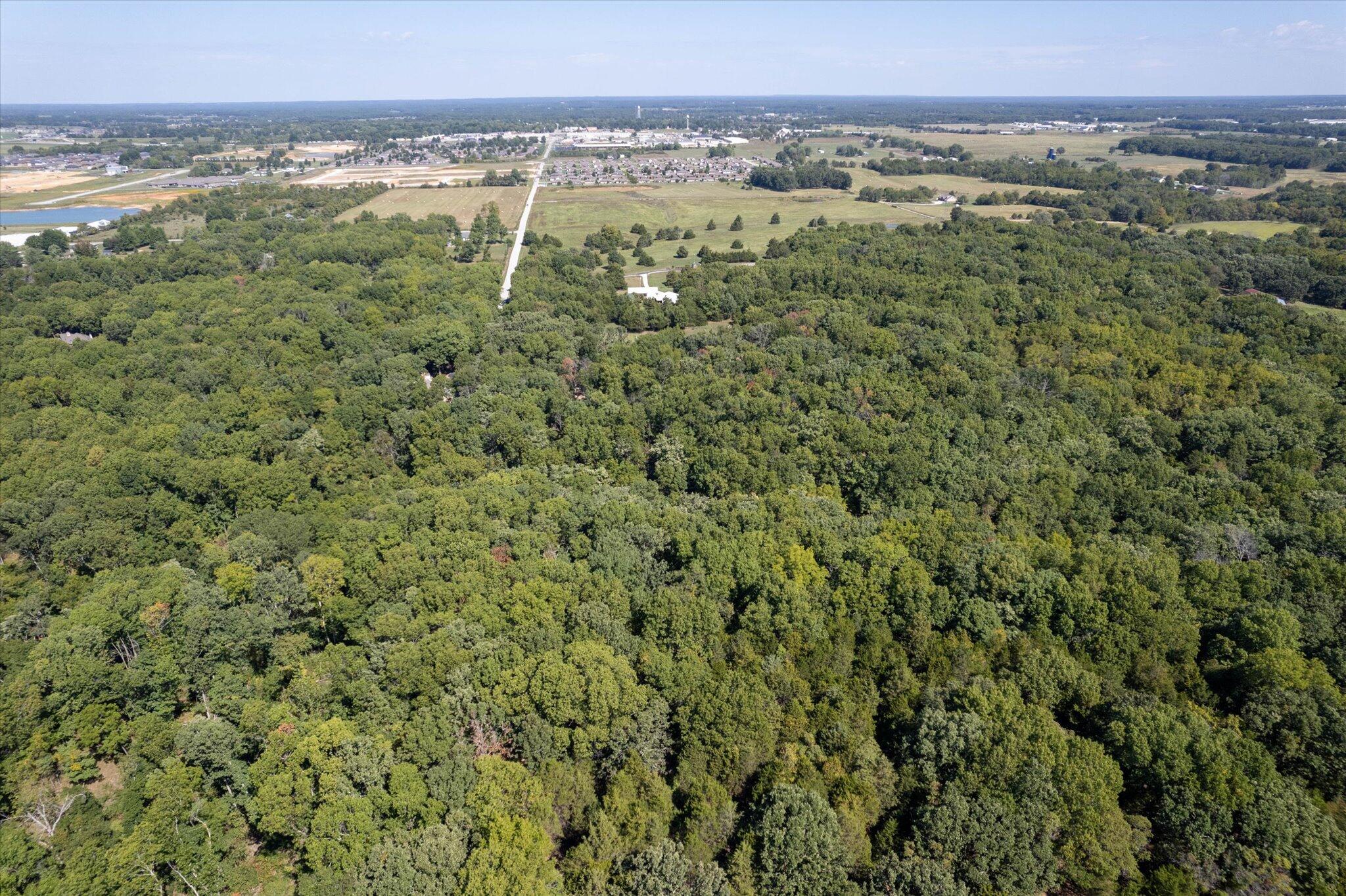 Photo 11 - Land for sale – 000  Watts Road  Rogersville, MO